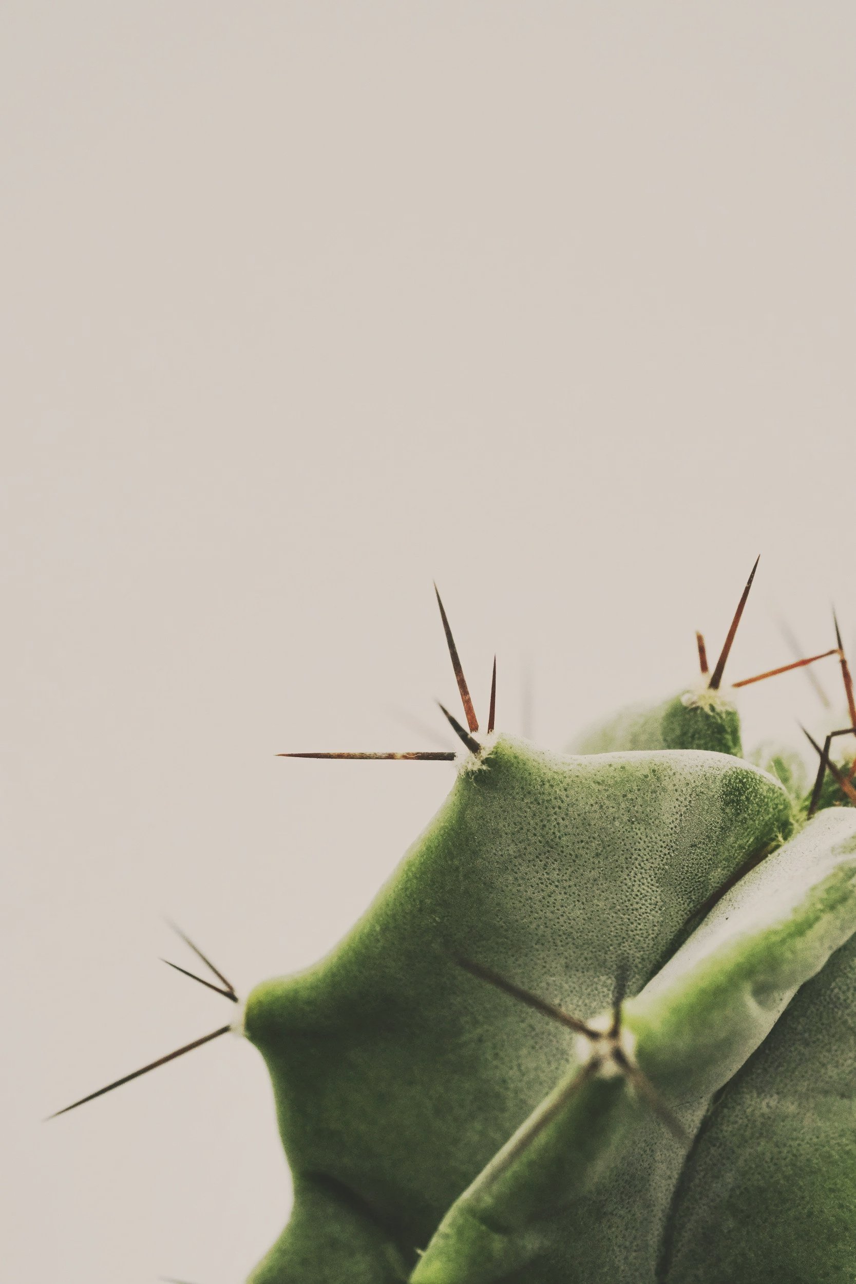 The Wisdom of Irritability: Discovering Your Emotional Needs