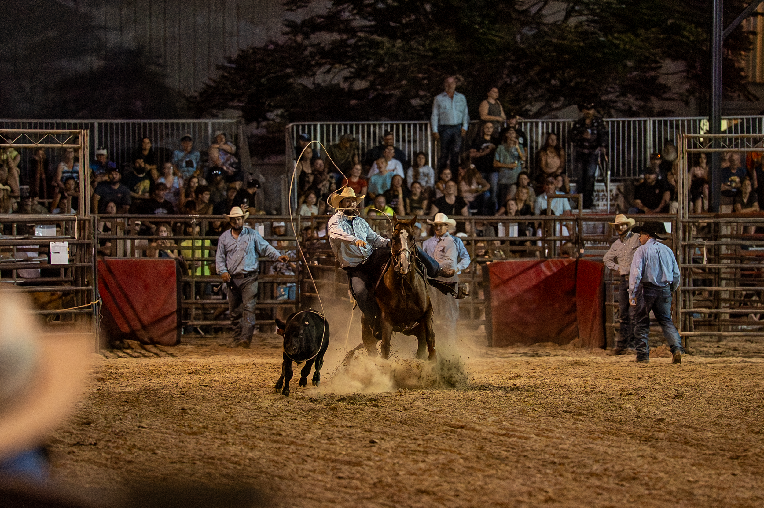 Brown County Fair Rodeo 2025 (67 of 126).png