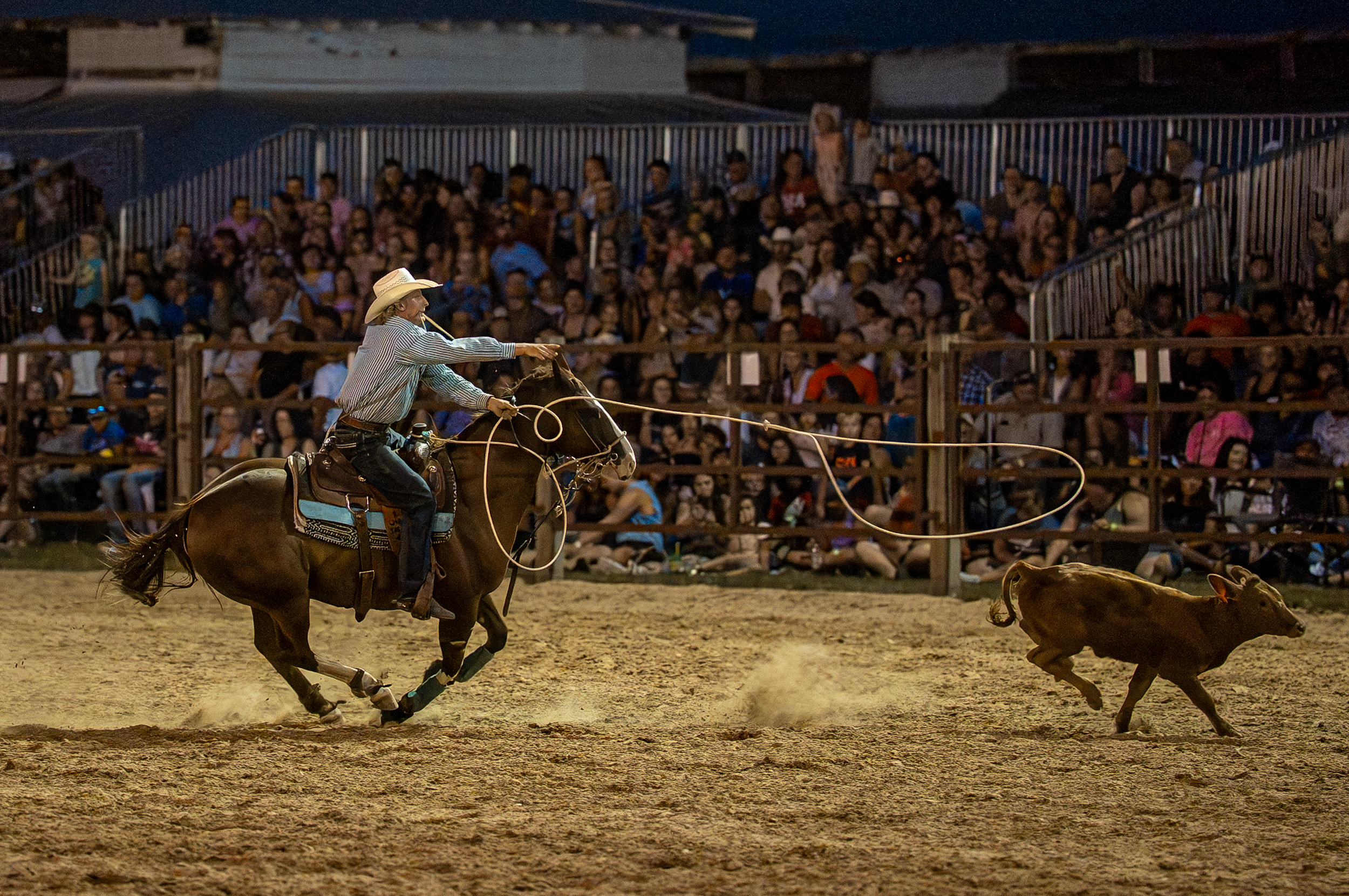 Brown County Fair Rodeo 2025 (58 of 126).png