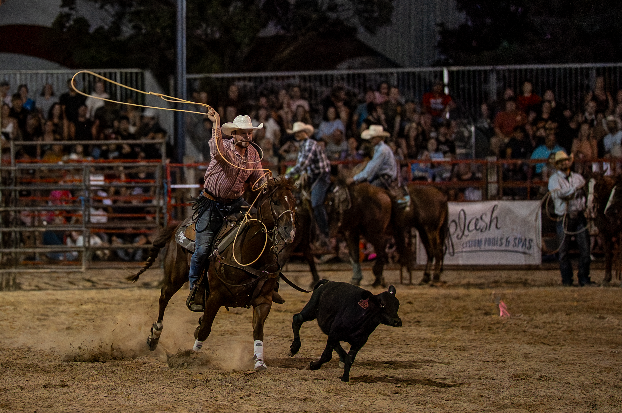 Brown County Fair Rodeo 2025 (71 of 126).png