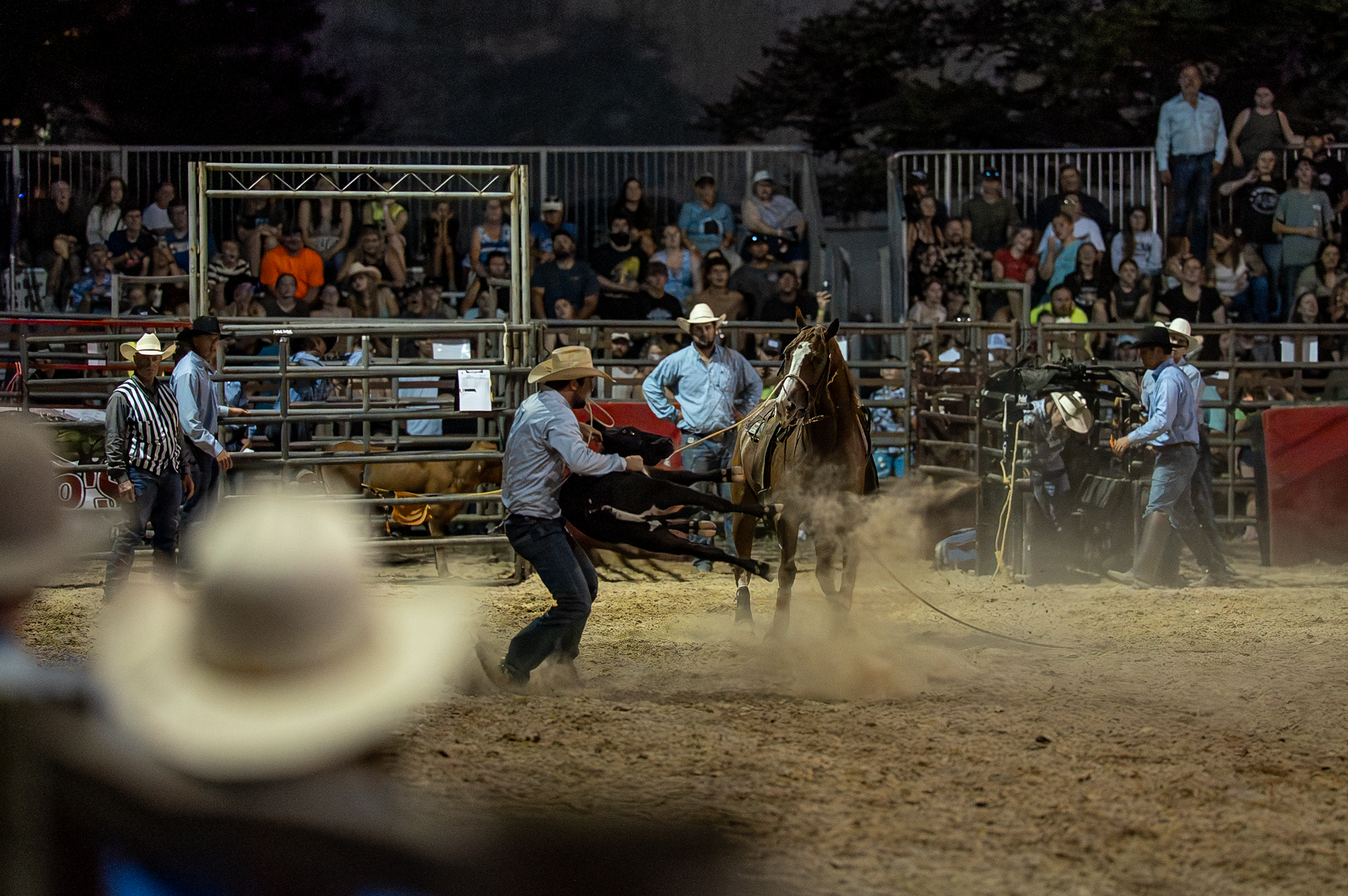 Brown County Fair Rodeo 2025 (68 of 126).png