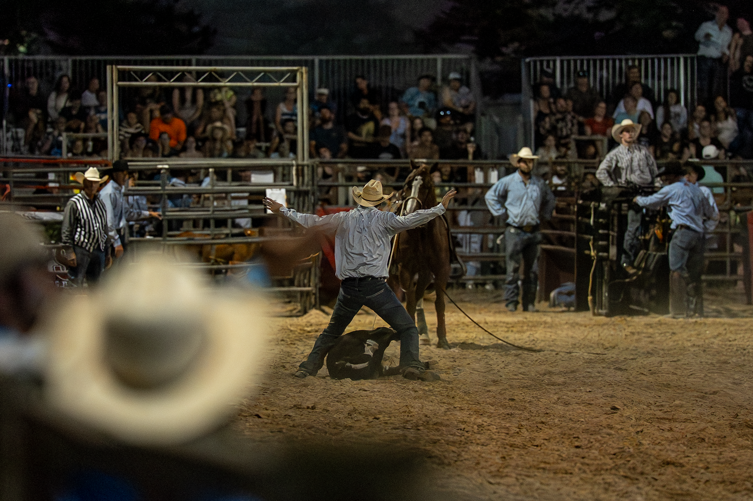 Brown County Fair Rodeo 2025 (69 of 126).png