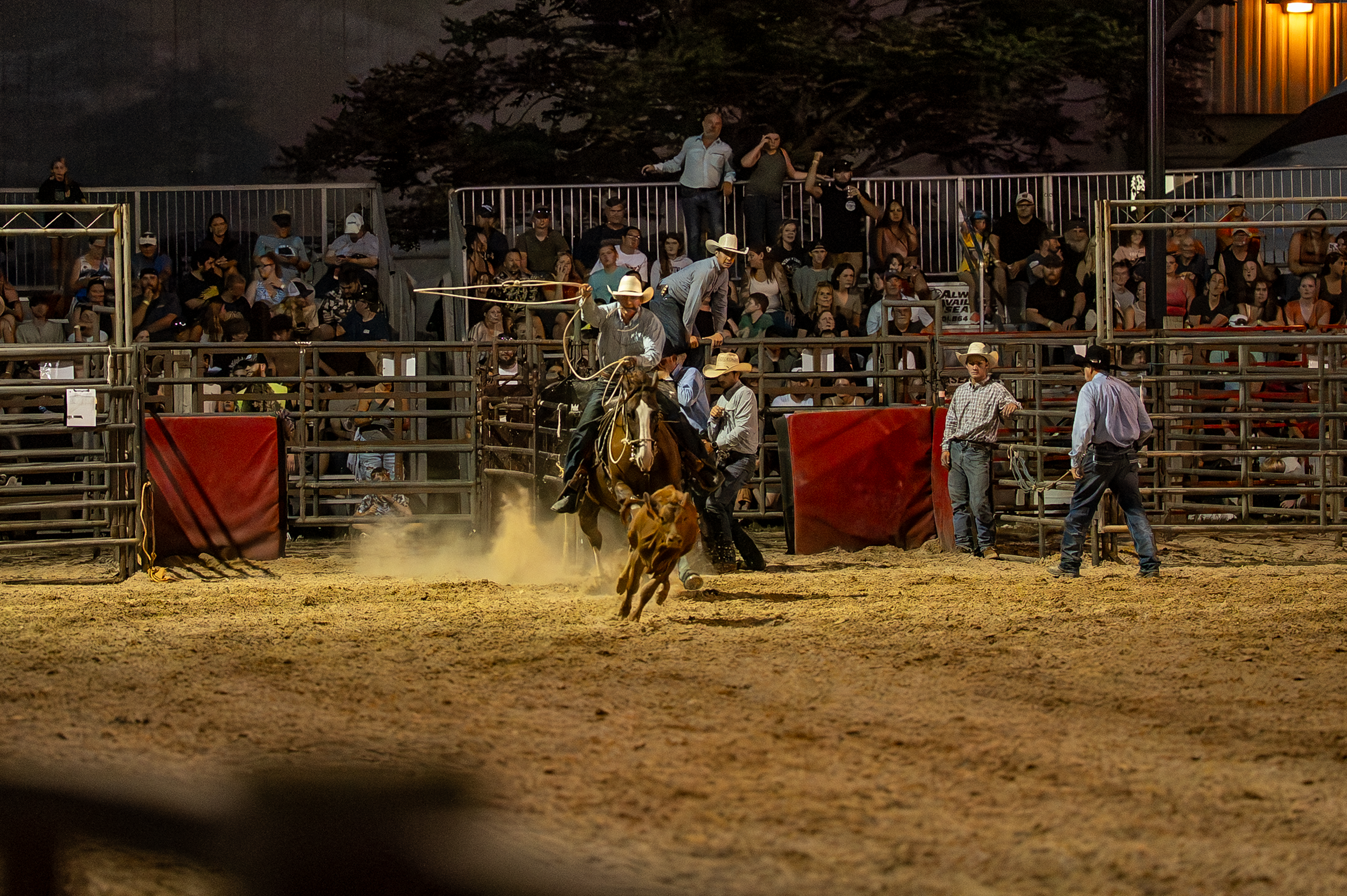 Brown County Fair Rodeo 2025 (57 of 126).png