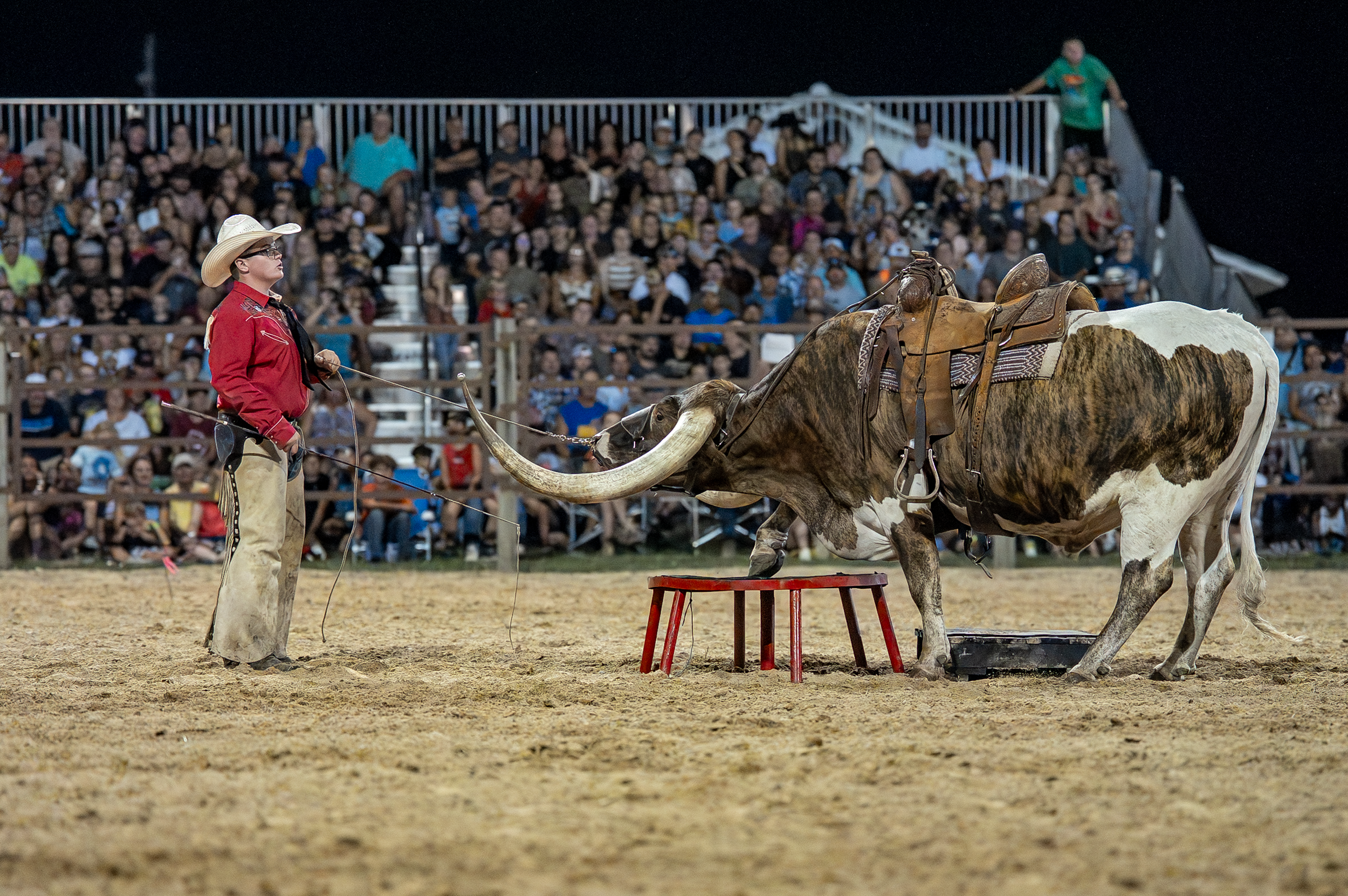 Brown County Fair Rodeo 2025 (76 of 126).png