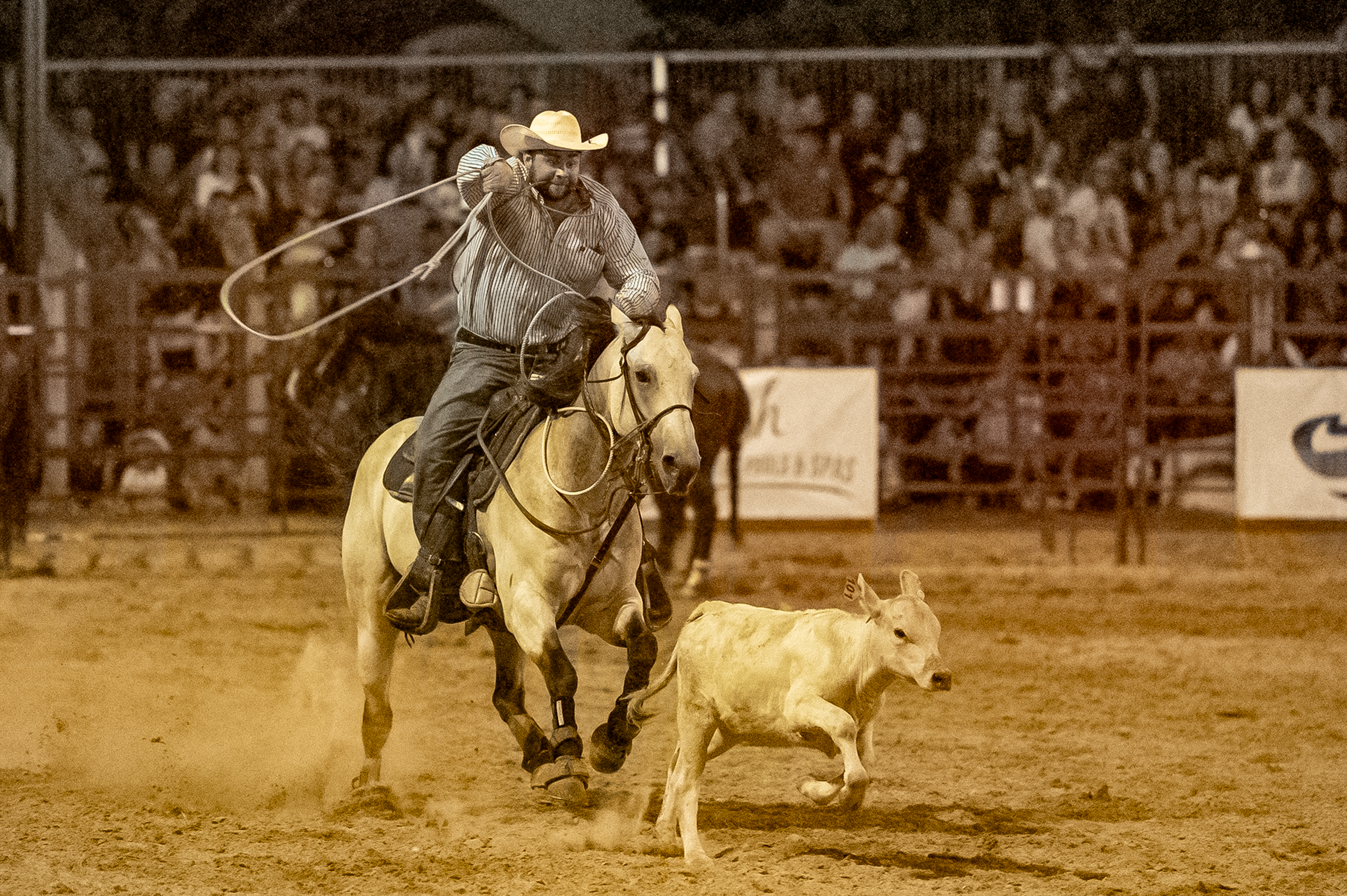 Brown County Fair Rodeo 2025 (62 of 126).png