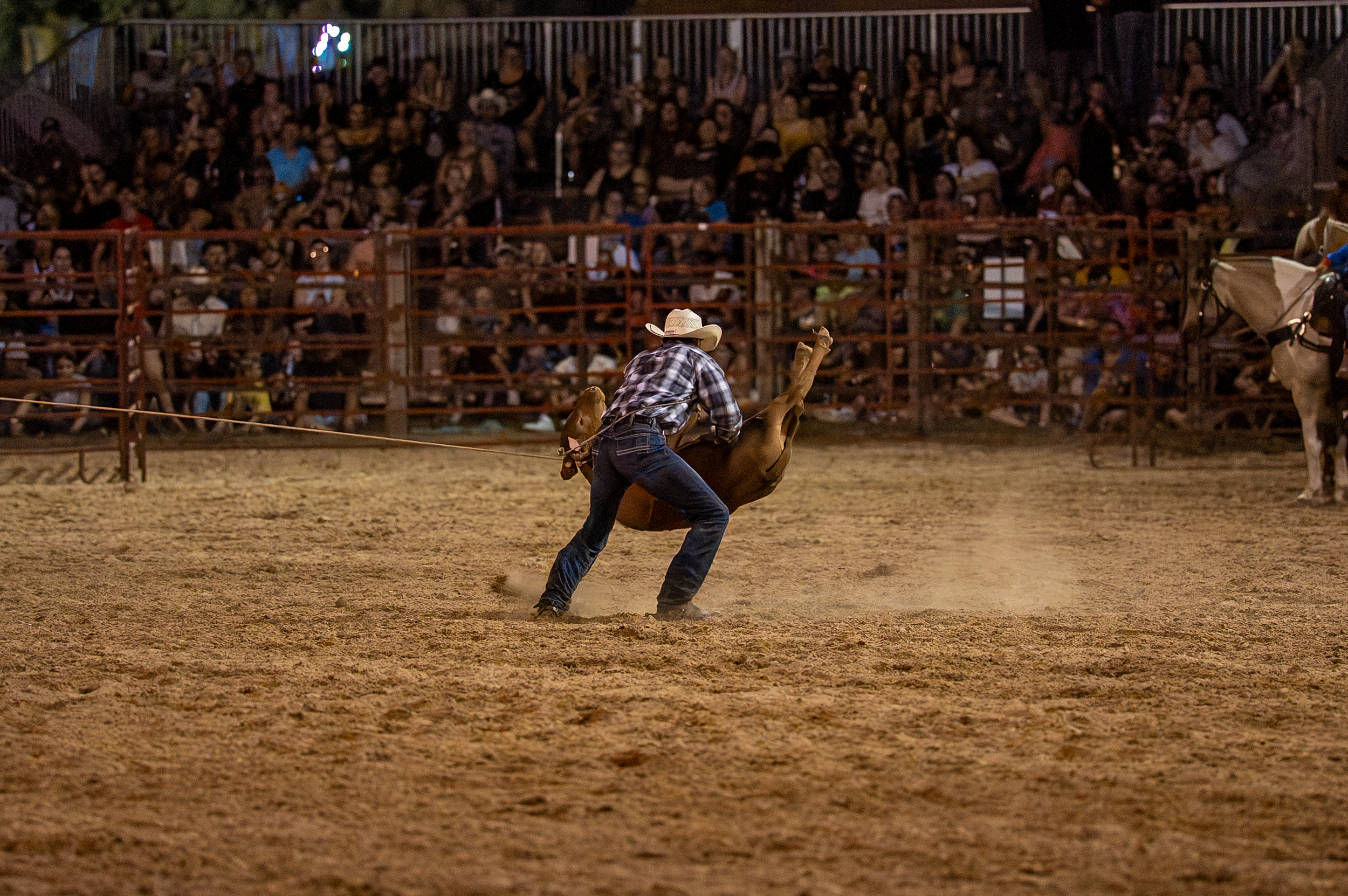 Brown County Fair Rodeo 2025 (73 of 126).png