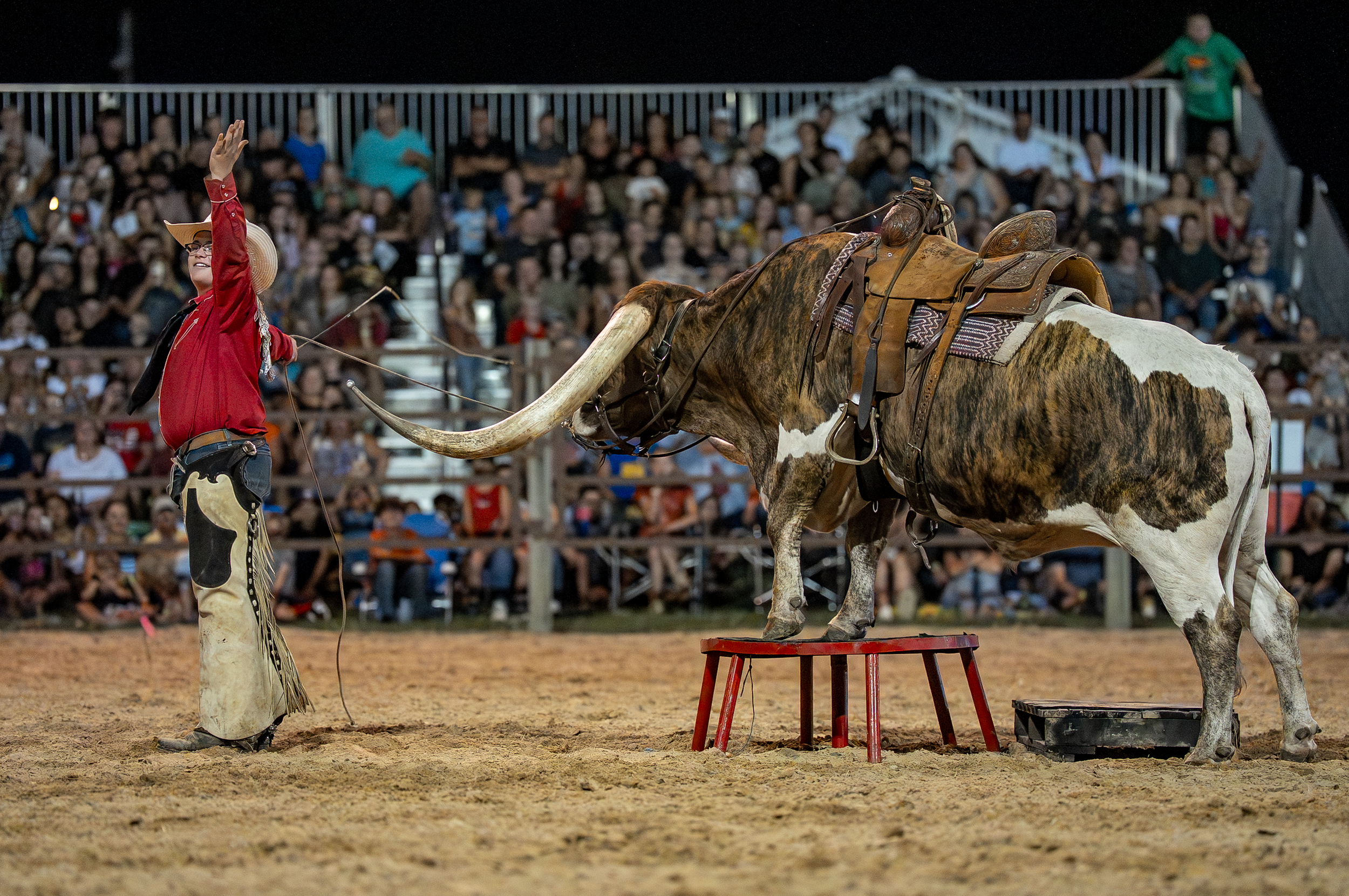 Brown County Fair Rodeo 2025 (77 of 126).png