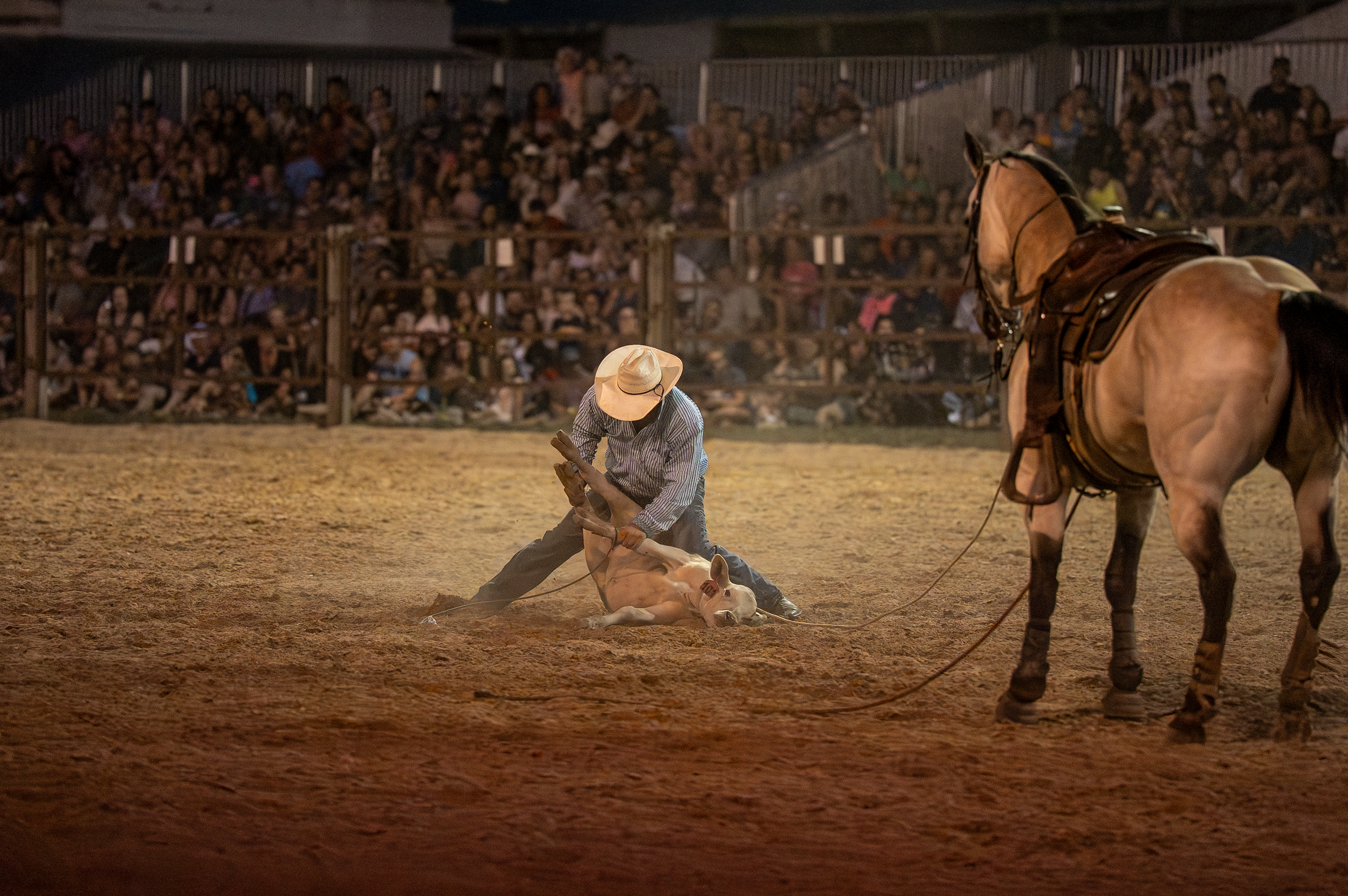 Brown County Fair Rodeo 2025 (64 of 126).png