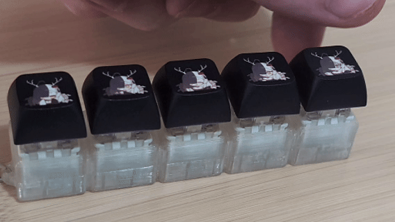 midas caps 1.gif