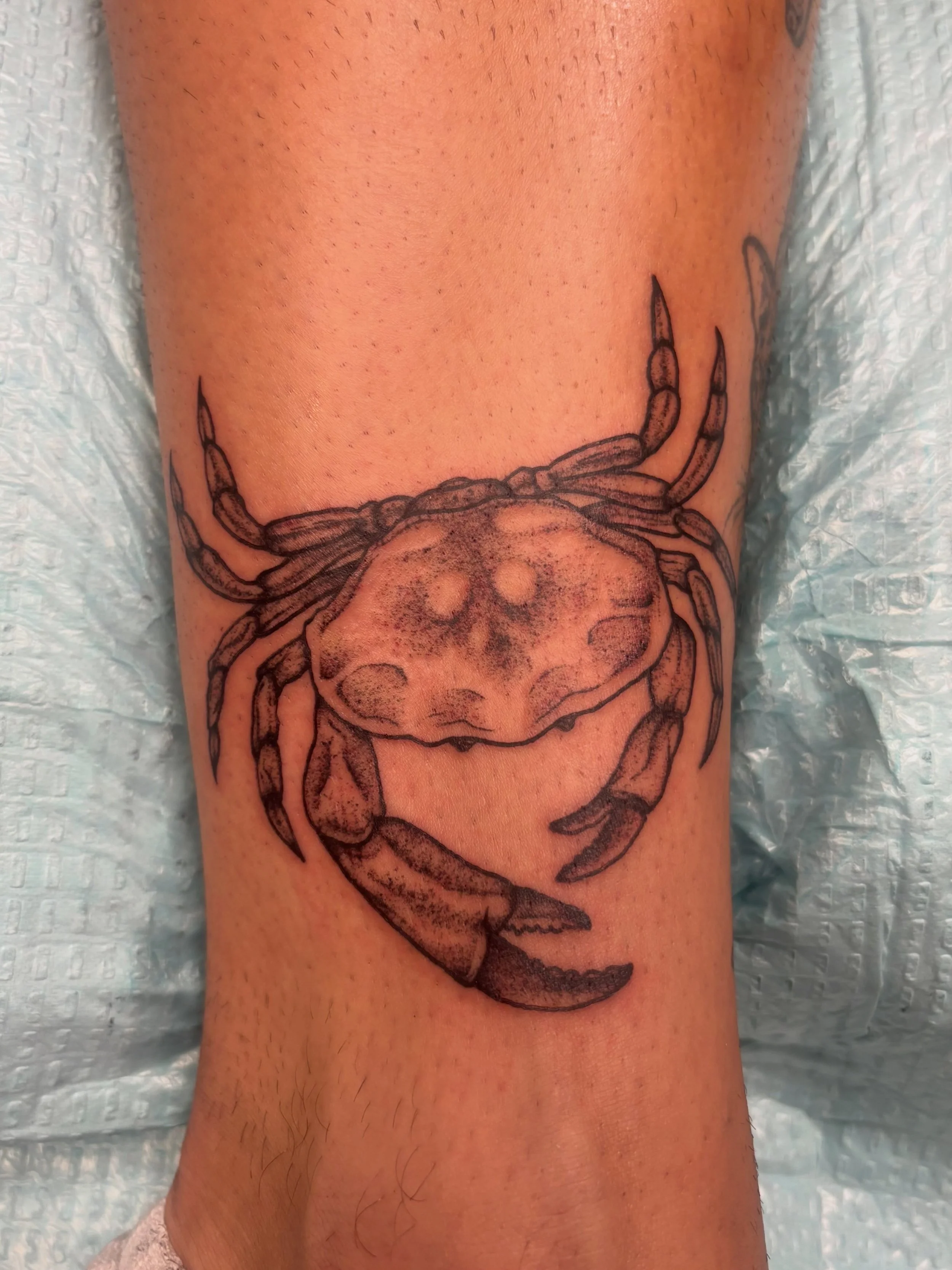 Crab