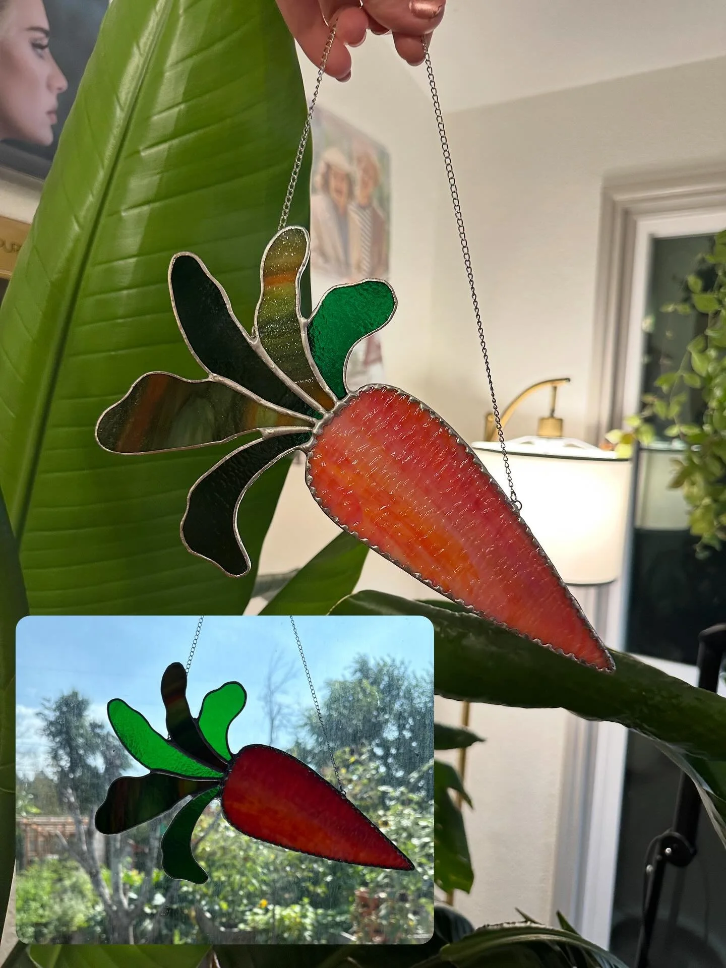 My little carrot found her forever 🏡 🥕 @nmsspringfield
