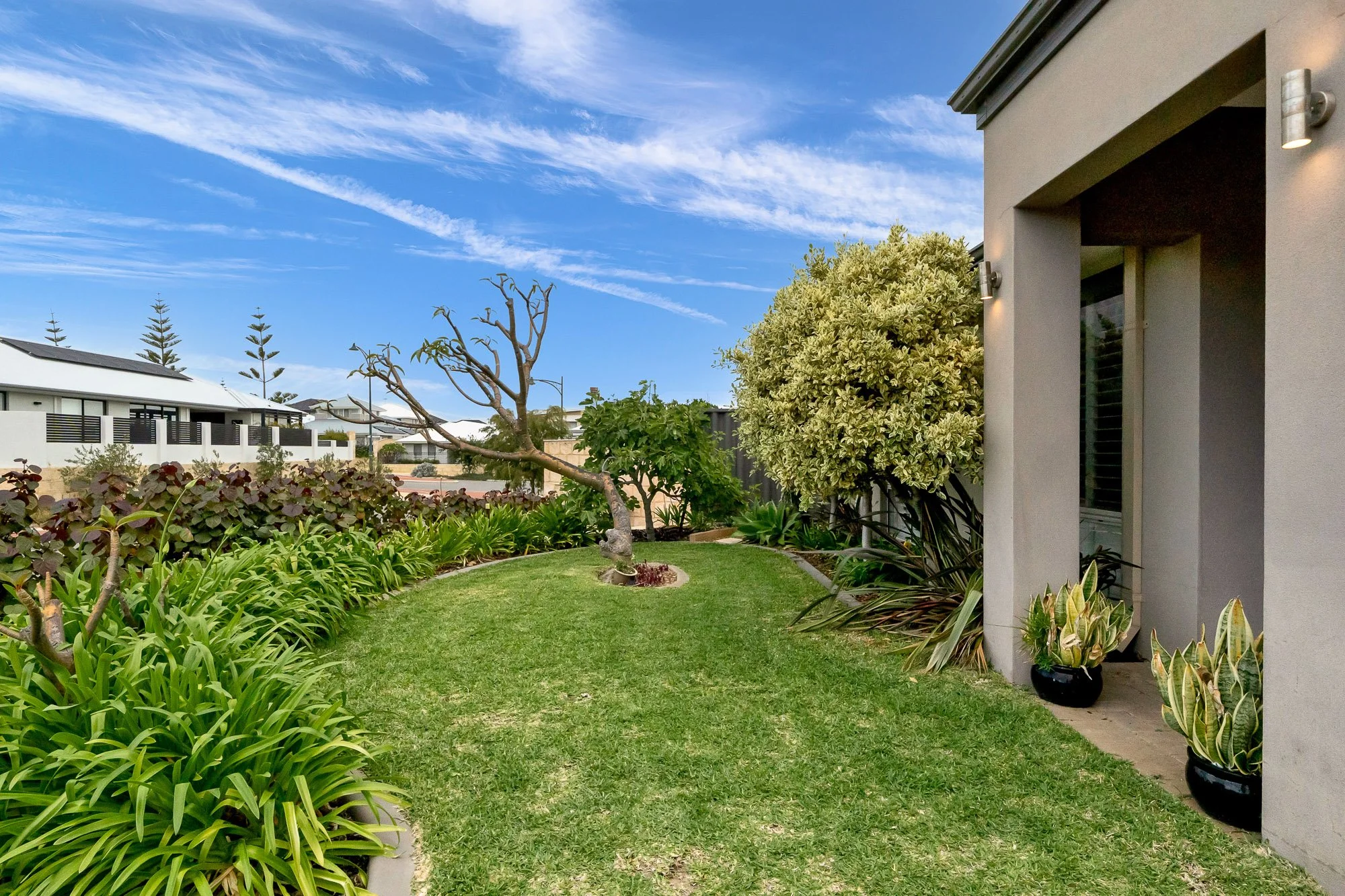 62 Daytona Dr, Iluka_Web-3.jpg
