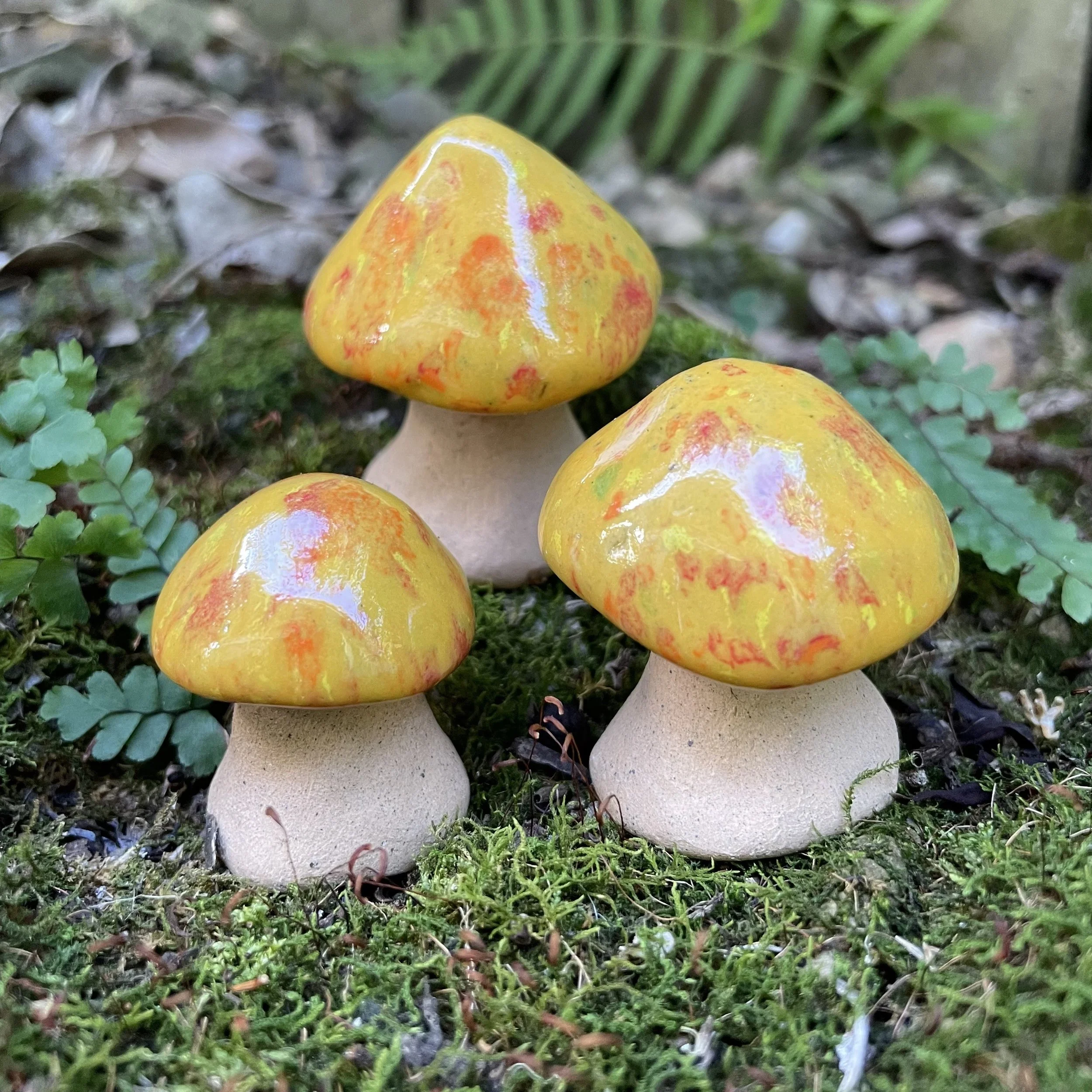 Sunny Spell - Mystic Mushroom Trio