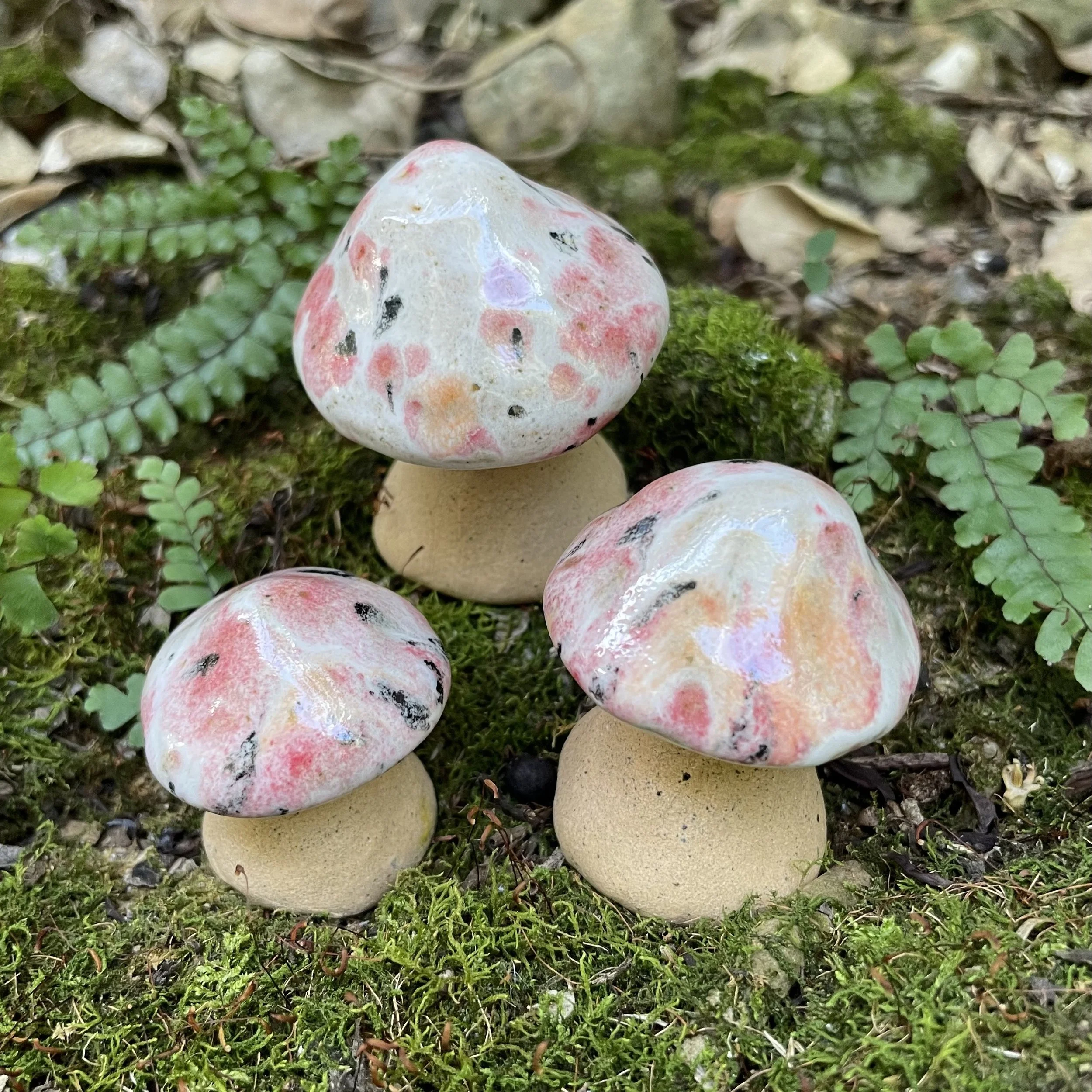 Pink Galaxy - Mystic Mushroom Trio