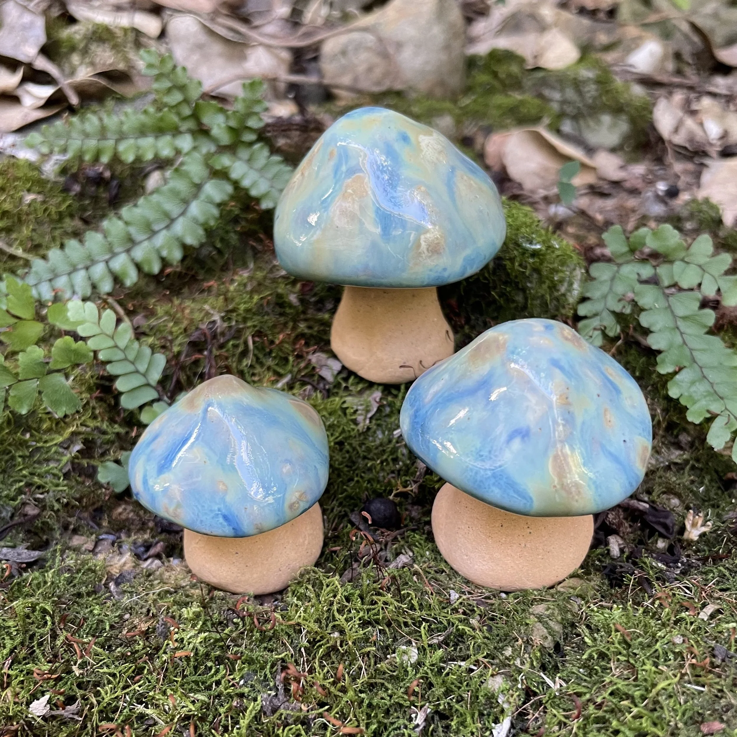 Blue Lagoon - Mystic Mushroom Trio