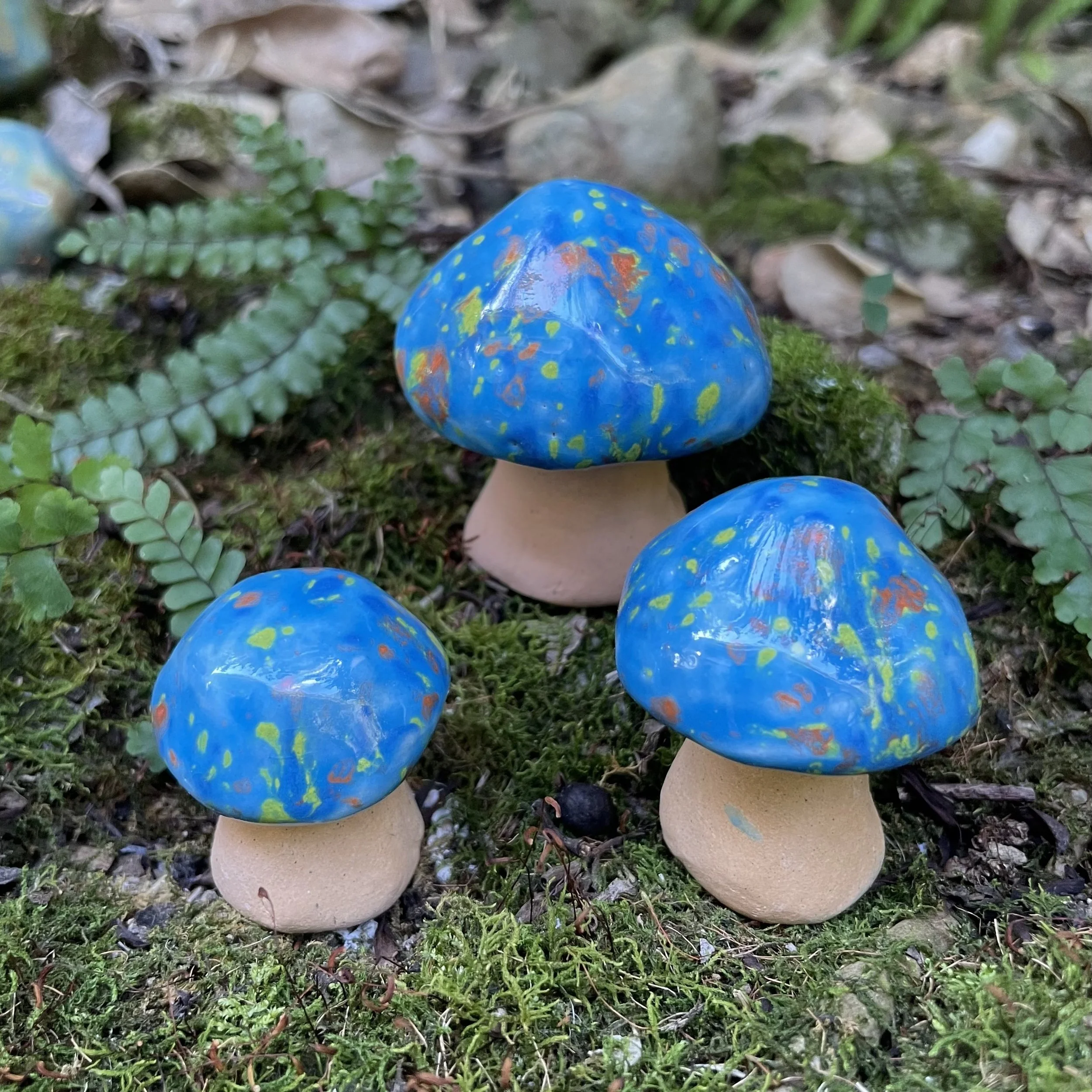 Blue Magic - Mystic Mushroom Trio