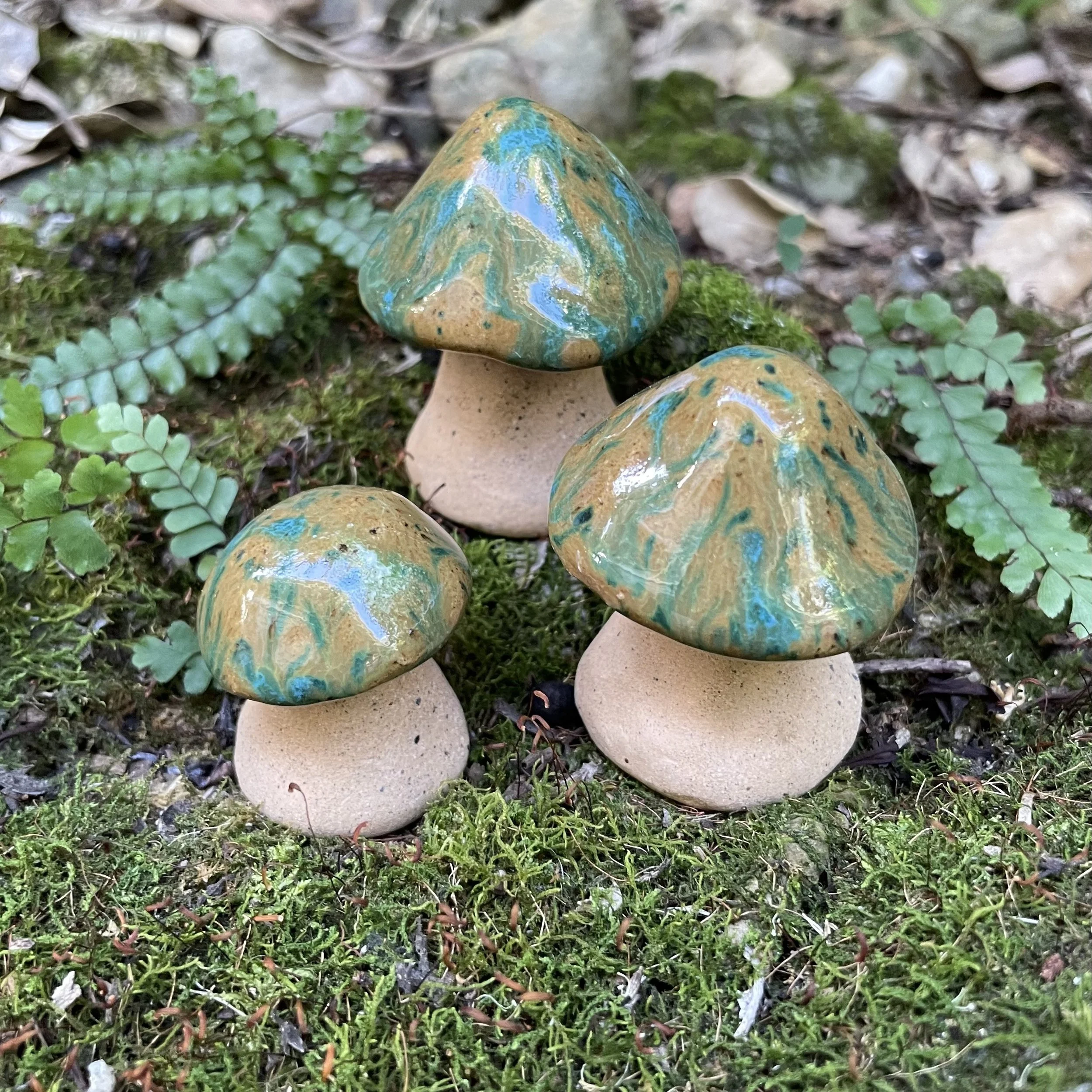 Mossy Bank - Mystic Mushroom Trio