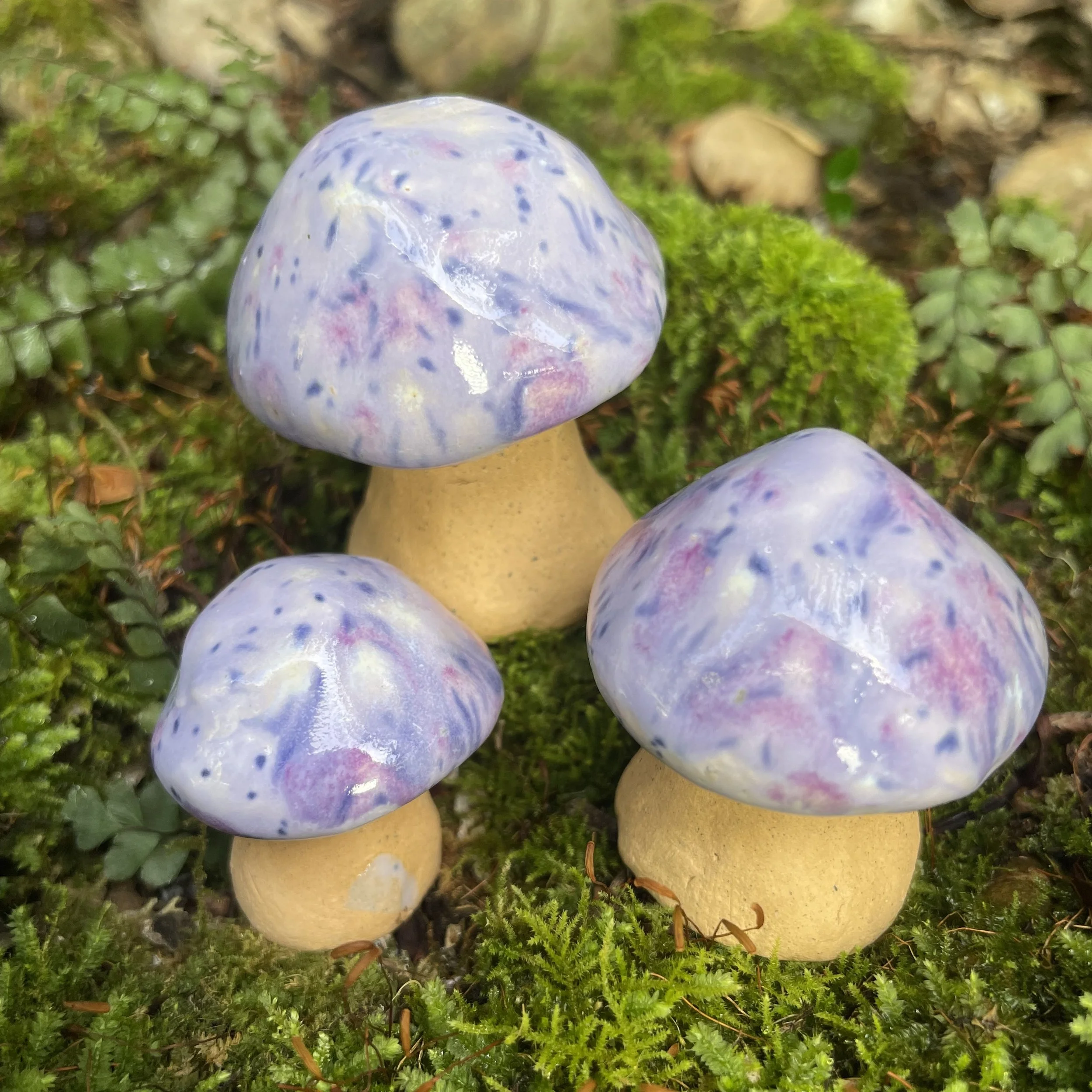 Purple Rain - Mystic Mushroom Trio
