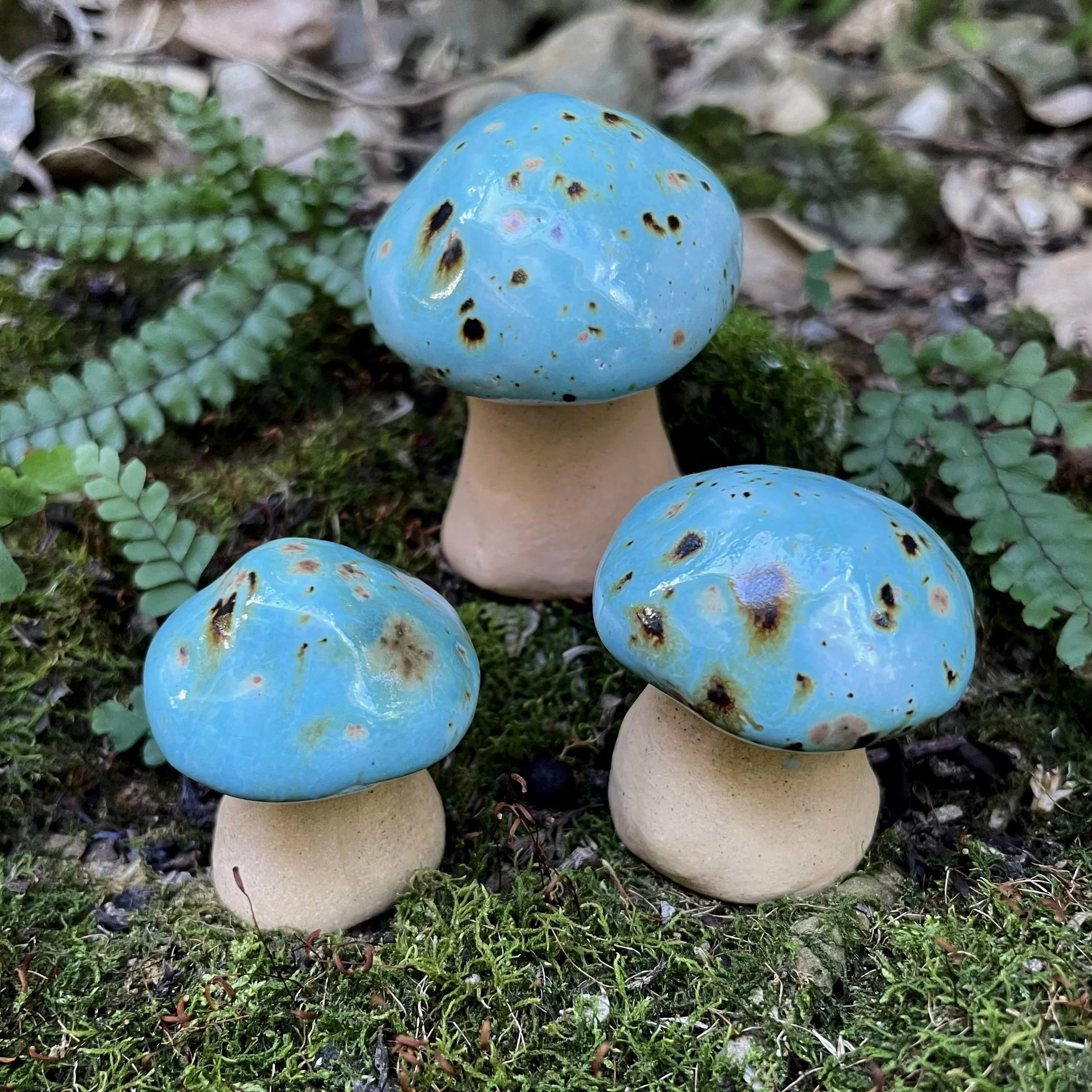 Blue Pond - Mystic Mushroom Trio