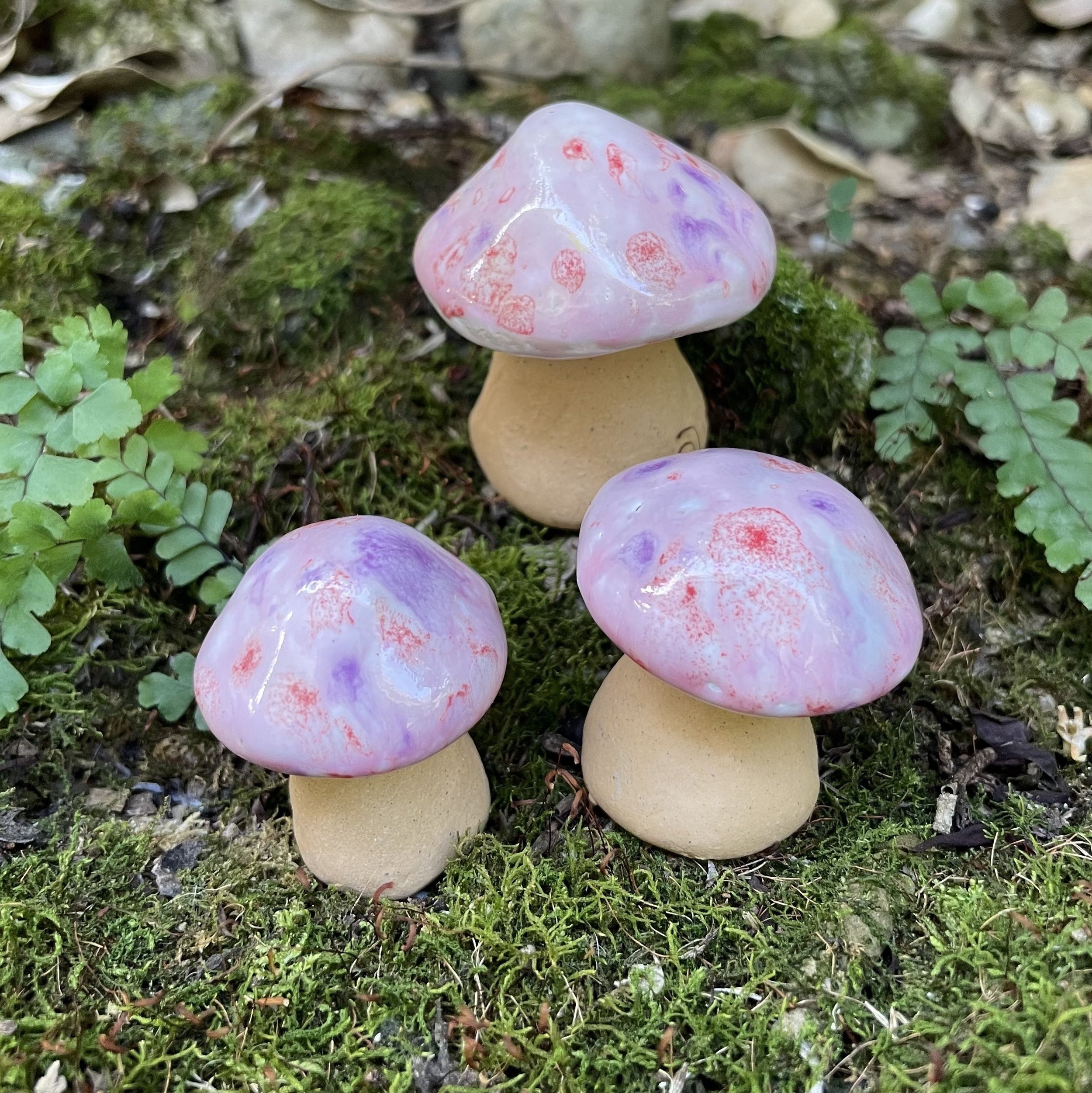 Pink Potion - Mystic Mushroom Trio