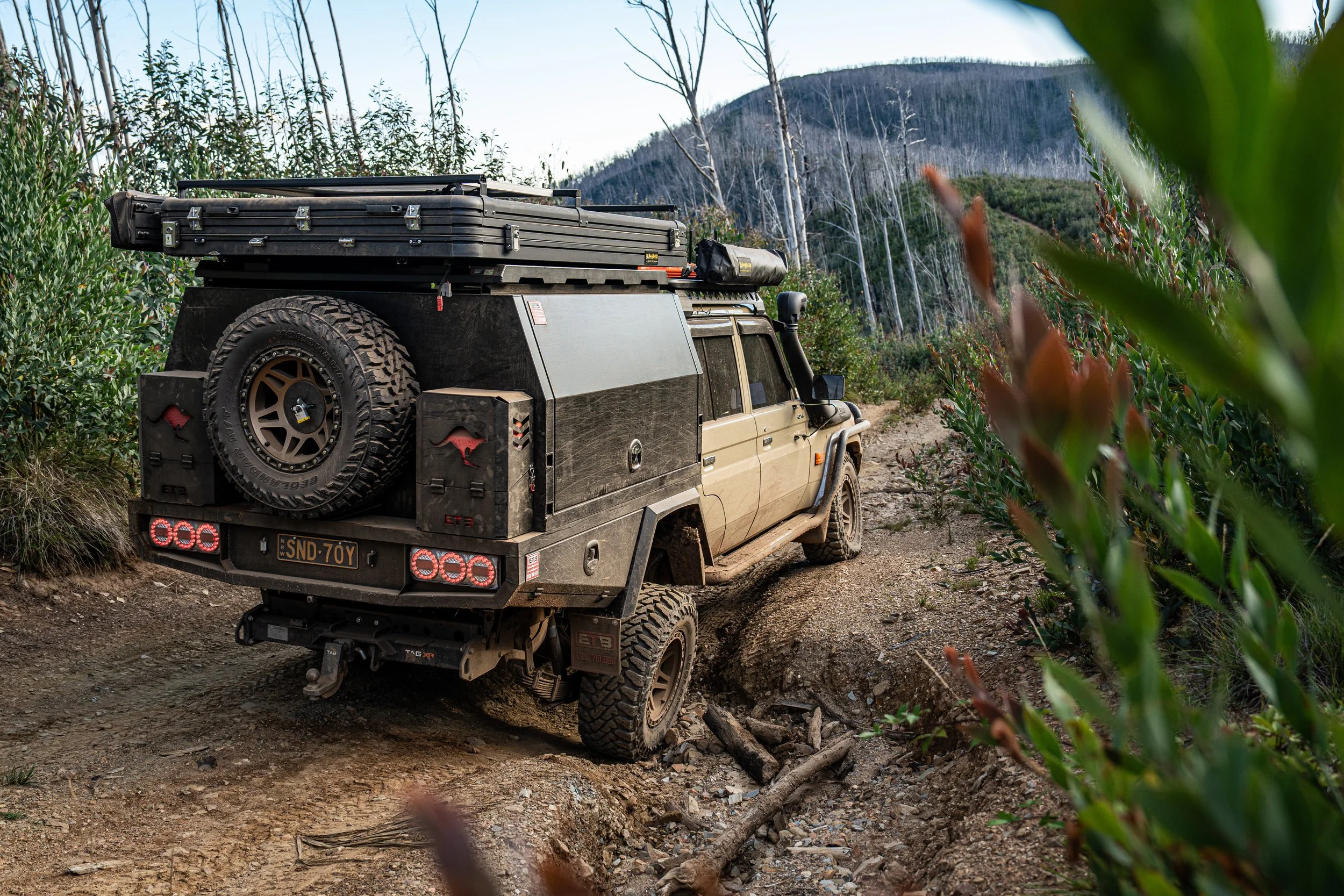 High Country 1 (1).jpg