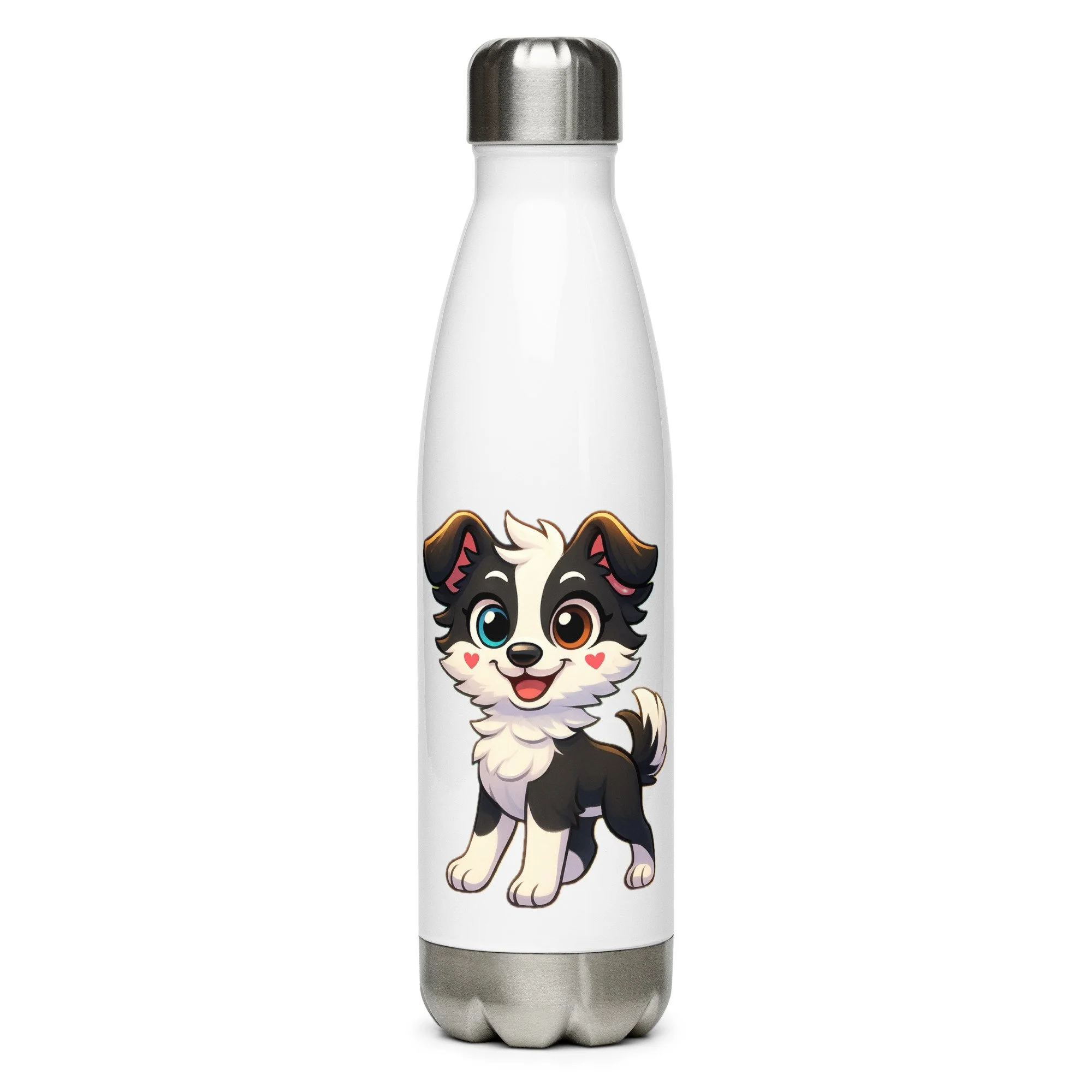 Stainless steel water bottle