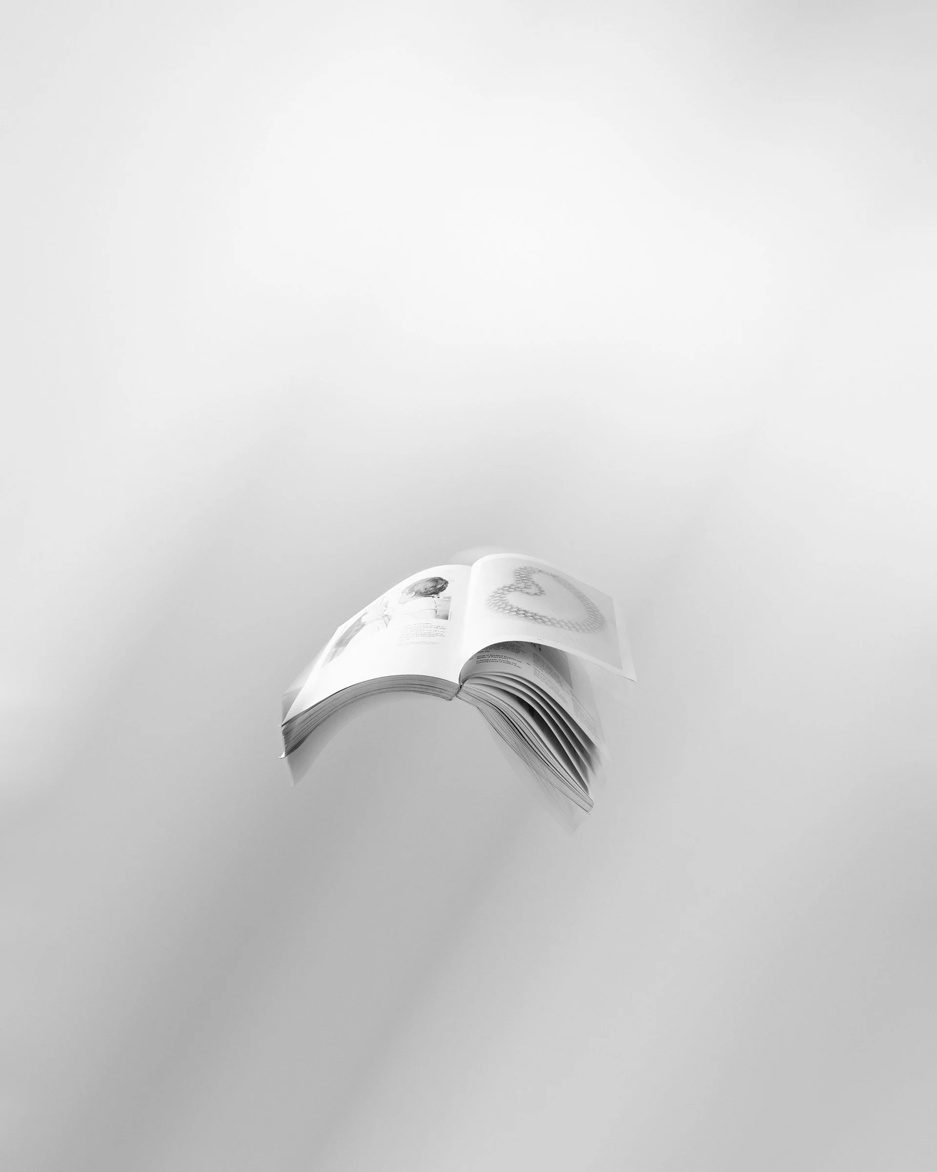 Christies Catalog, The Estate of Jacqueline Kennedy Onassis; Simulated Pearl Necklace, 2017
Archival photograph on DiBond
40 x 50 Inches