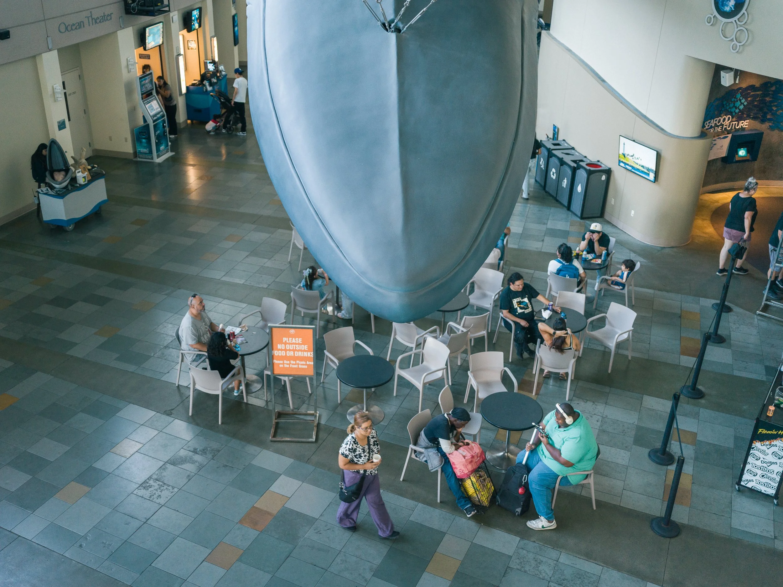 B0005465.jpg