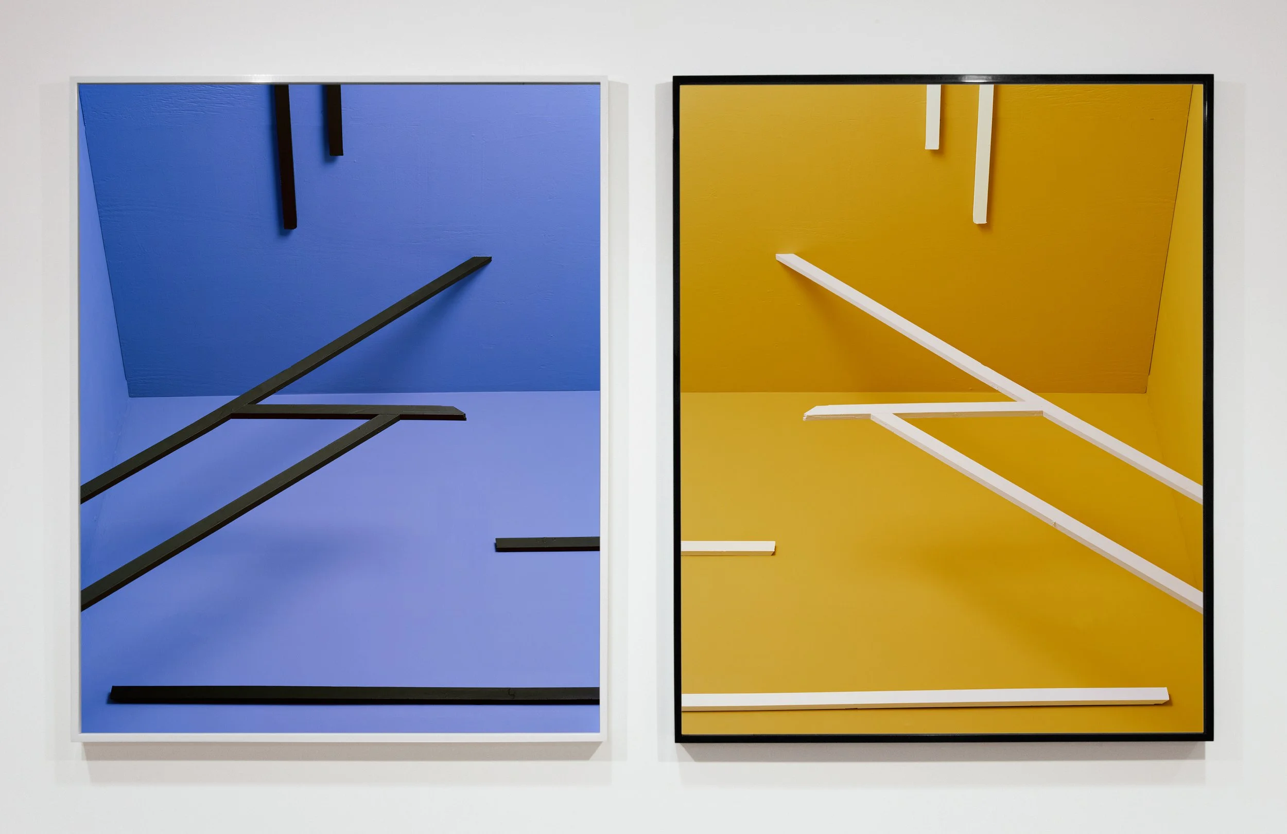 BOGO Vision (Purple & Yellow), 2012 // archival photographs on DiBond and frames // 85" x 50"// Ed. 3 + 2AP
