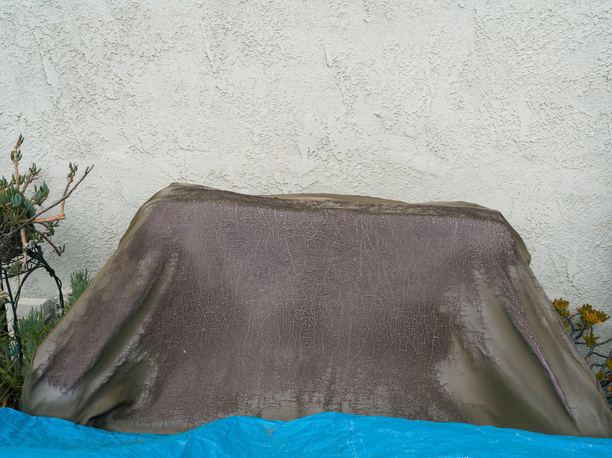 B0004656.jpg