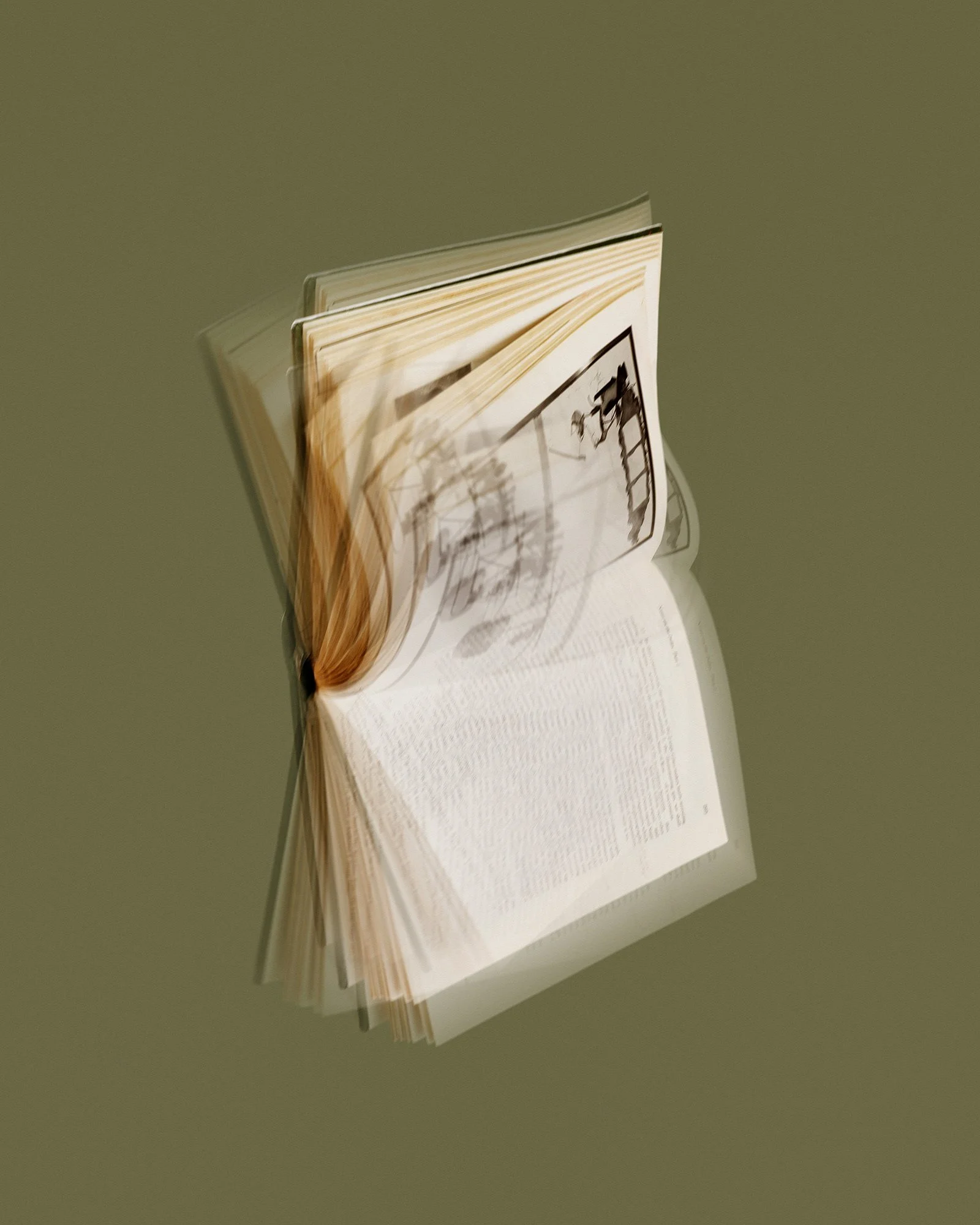 The Originality of the Avant-Garde, 2018
Archival Photograph
16 x 20