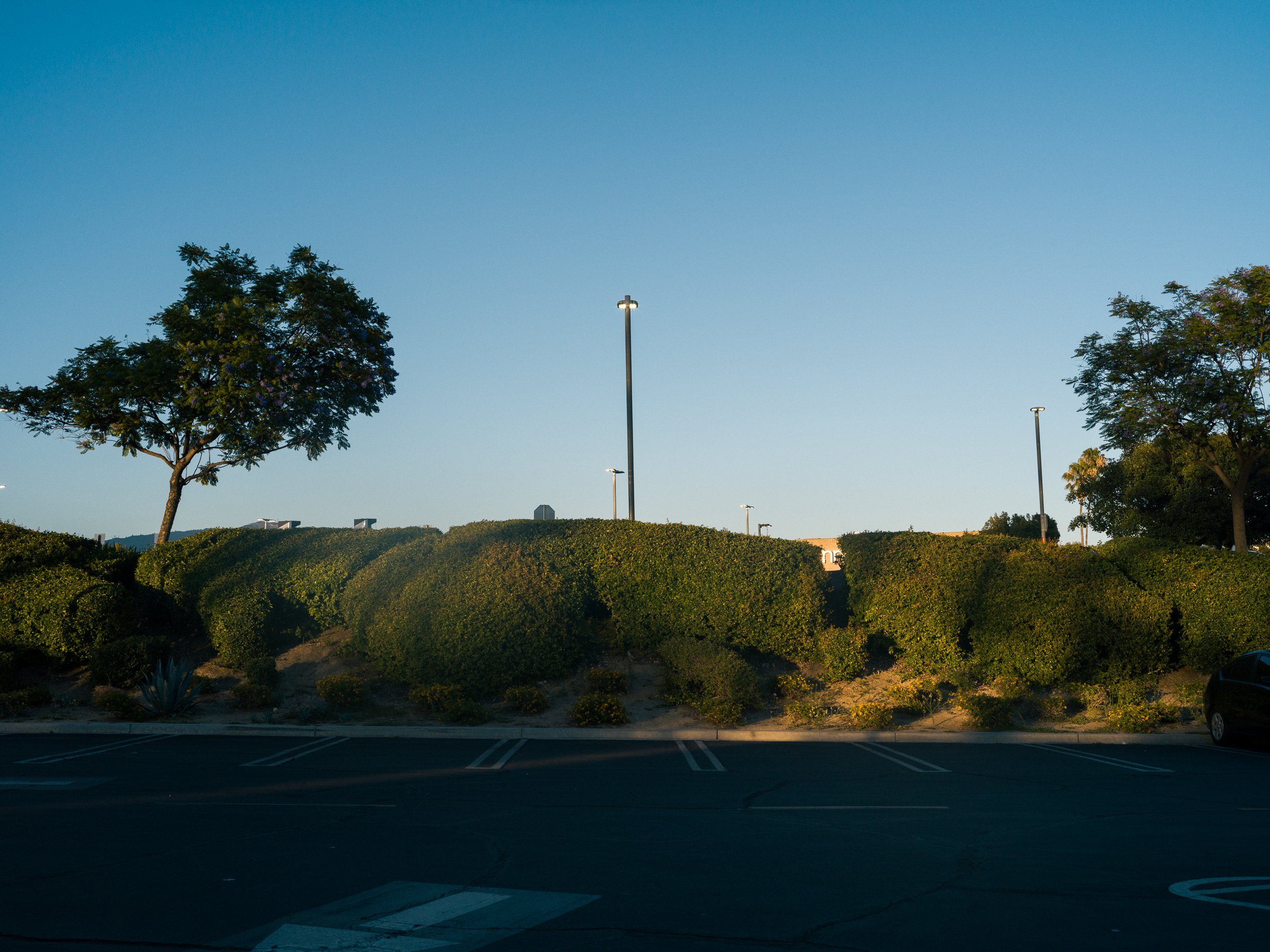 B0004770.JPG