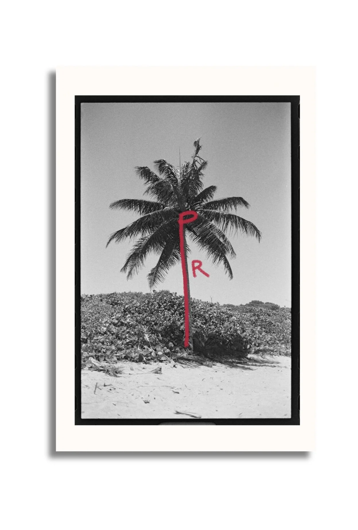 Your paragraph text - 4.jpeg