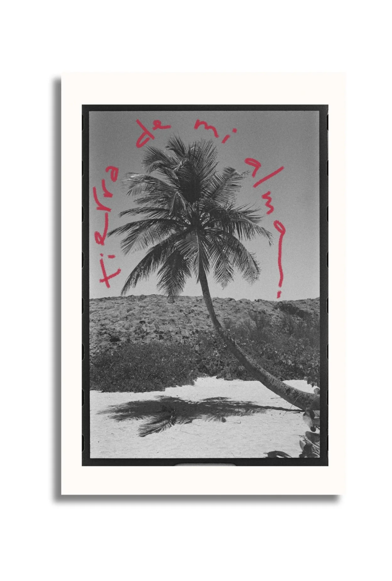 Your paragraph text - 5.jpeg