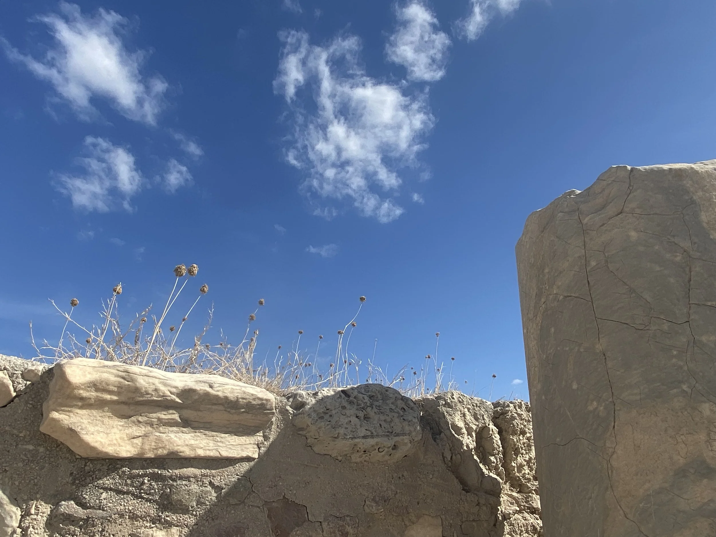 Close-up view of rocks and dry plants against a bright blue sky with scattered white clouds.