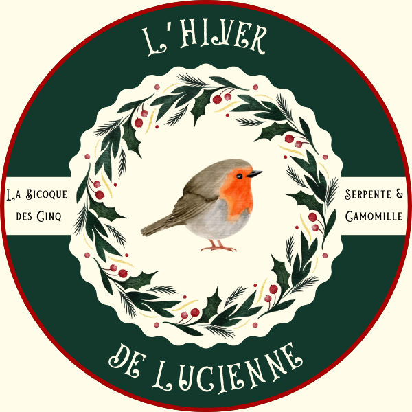 Coffret L'Hiver de Lucienne