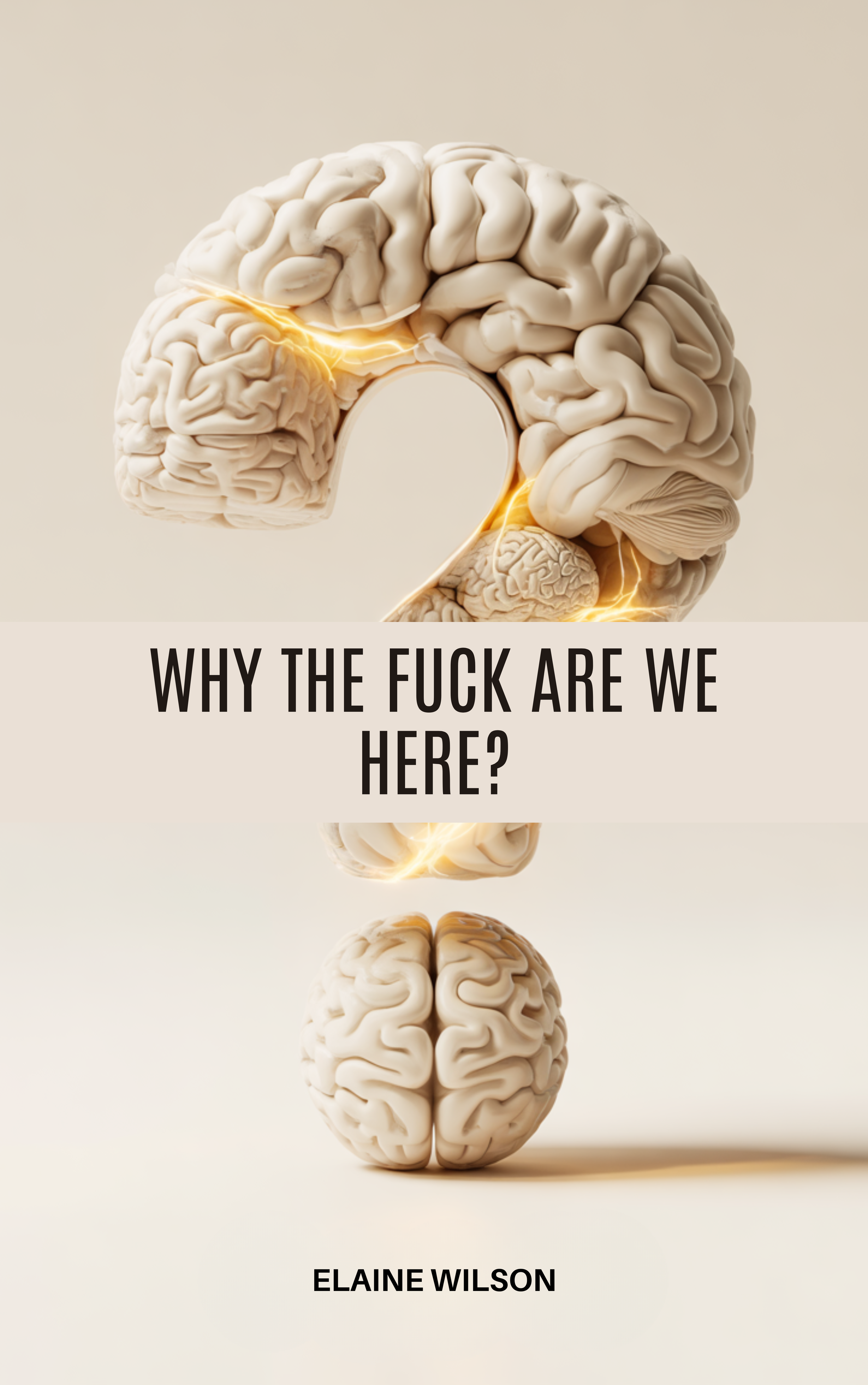 Why the Fuck Are We Here