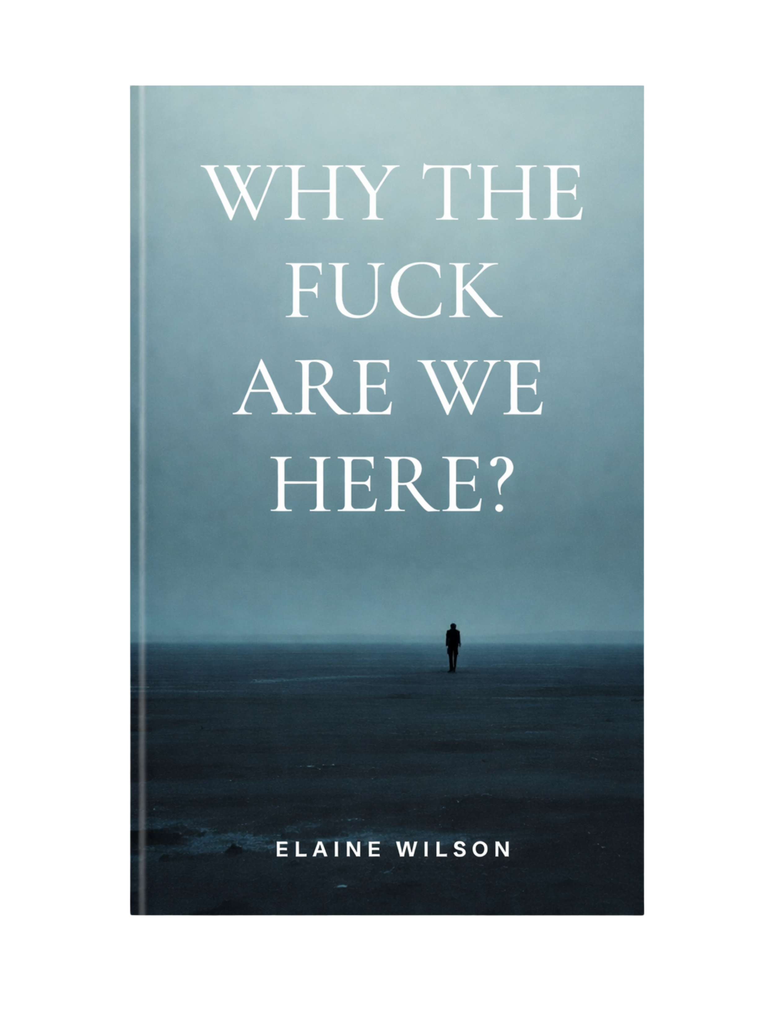 Why the Fuck Are We Here