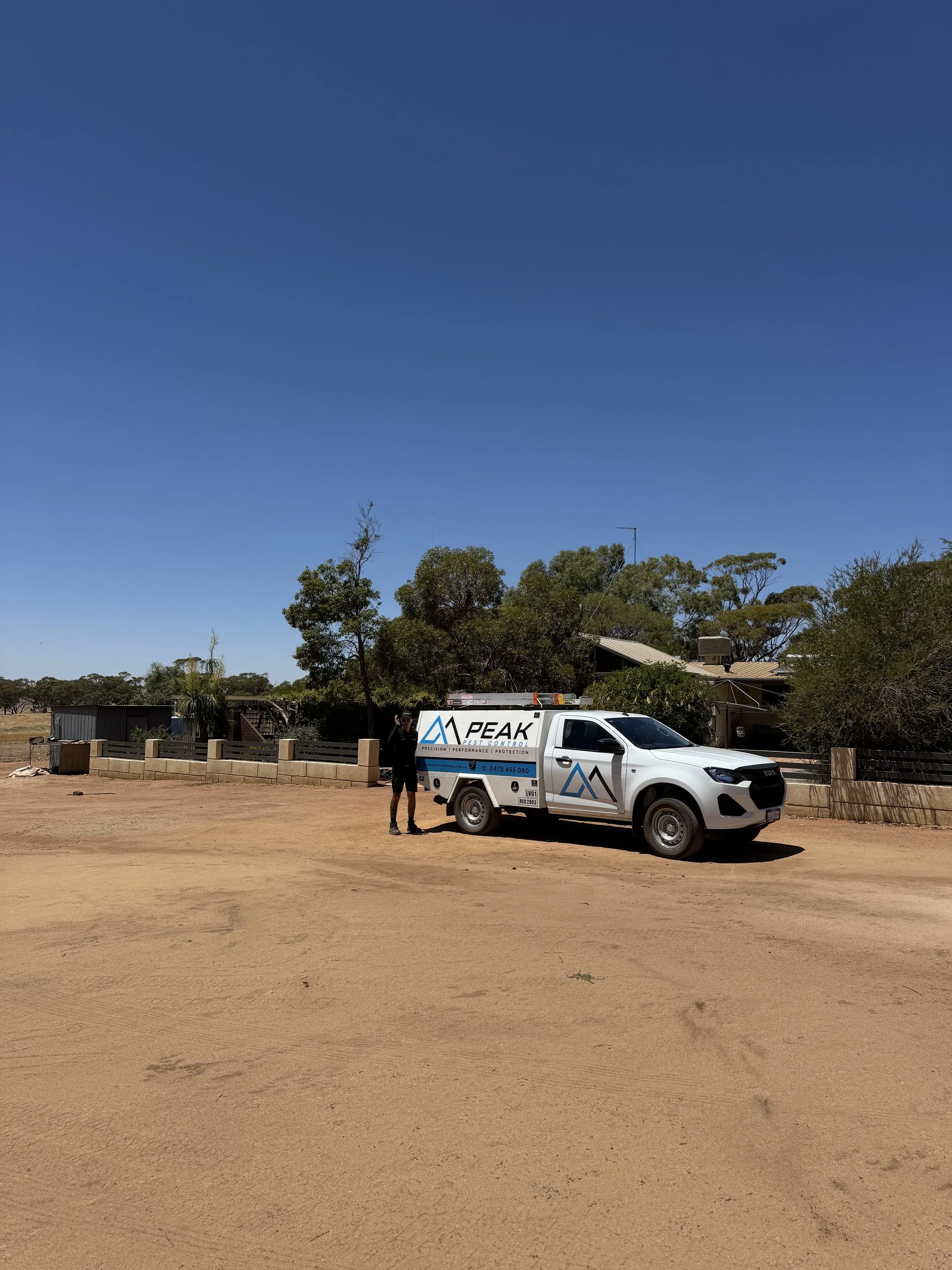 Commercial Pest Control