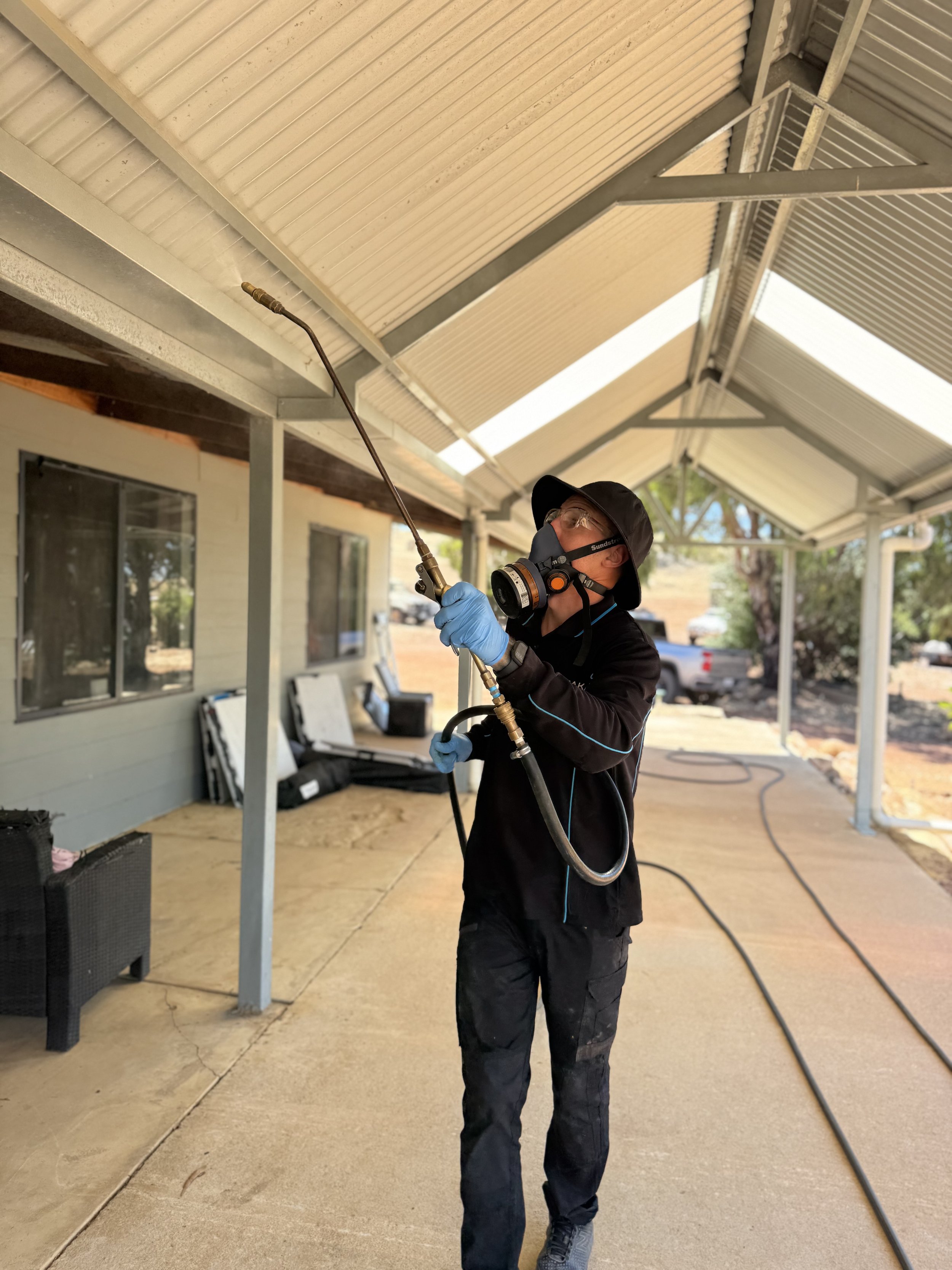 Termite & rodent Solutions