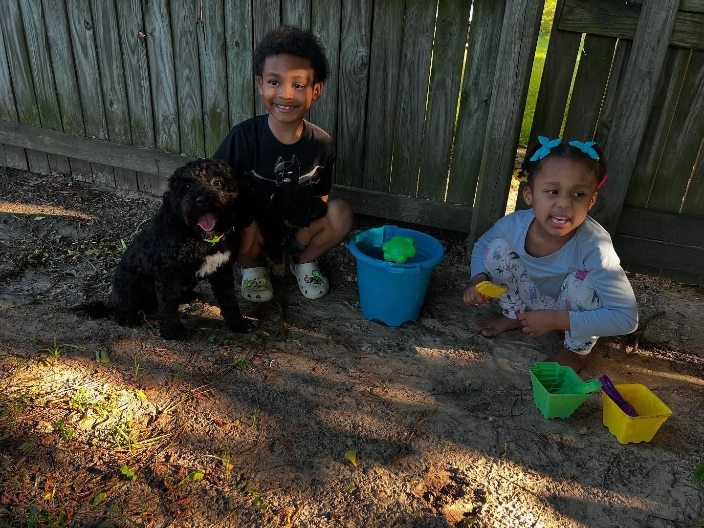 Big news and big smiles!
Shaggy who has been renamed to Levi has officially found his forever home with the amazing Craver family!

We&rsquo;re beyond happy to see him off to such a loving home&mdash;and even more excited that he&rsquo;s joining his 