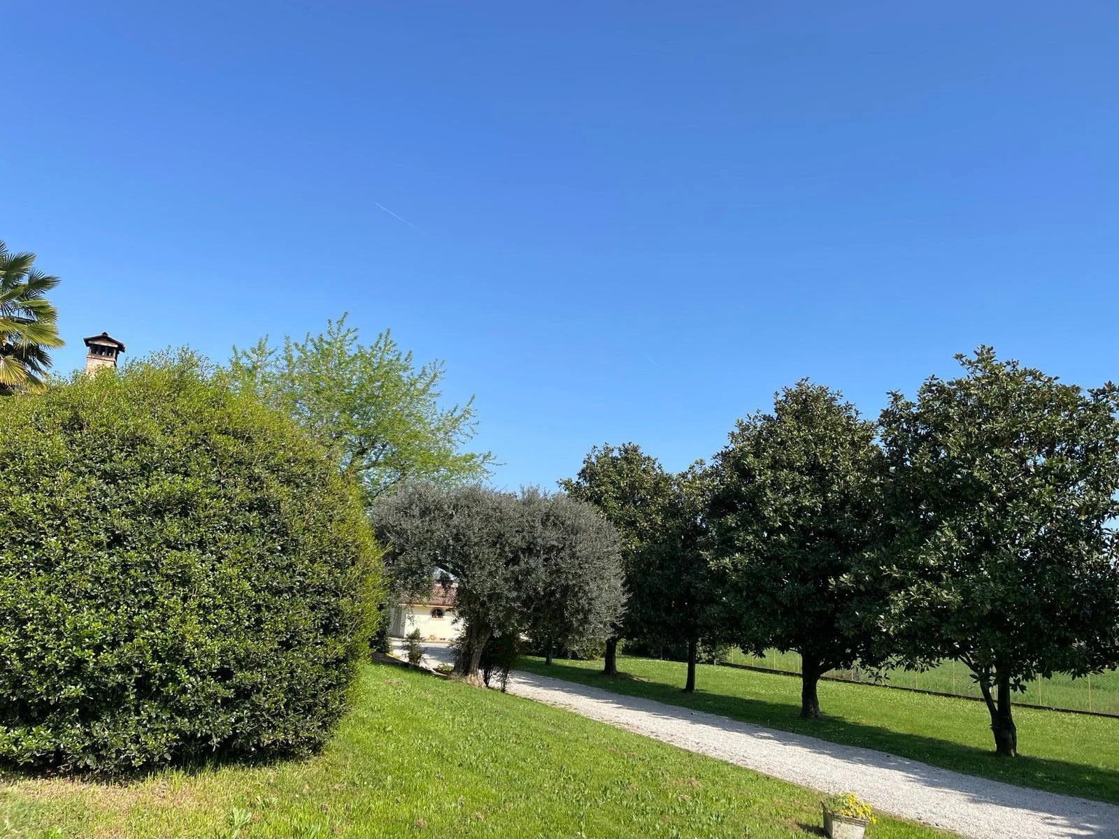 PHOTO-2024-04-12-17-23-08 (005).jpg