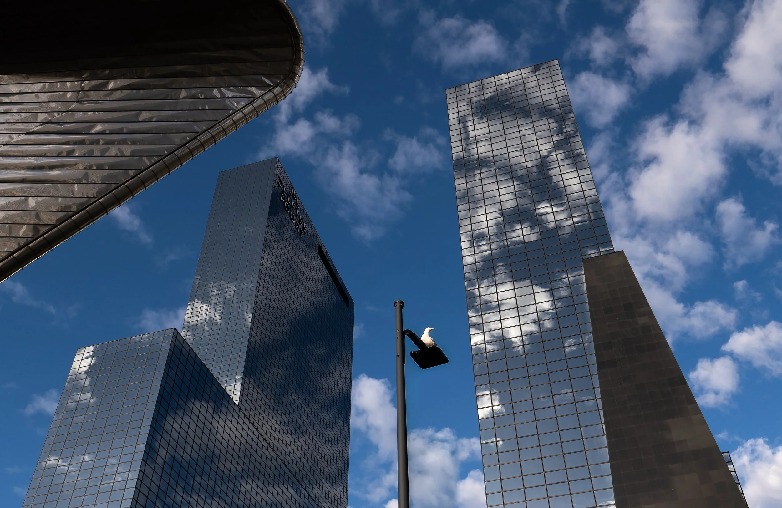 Rotterdam
