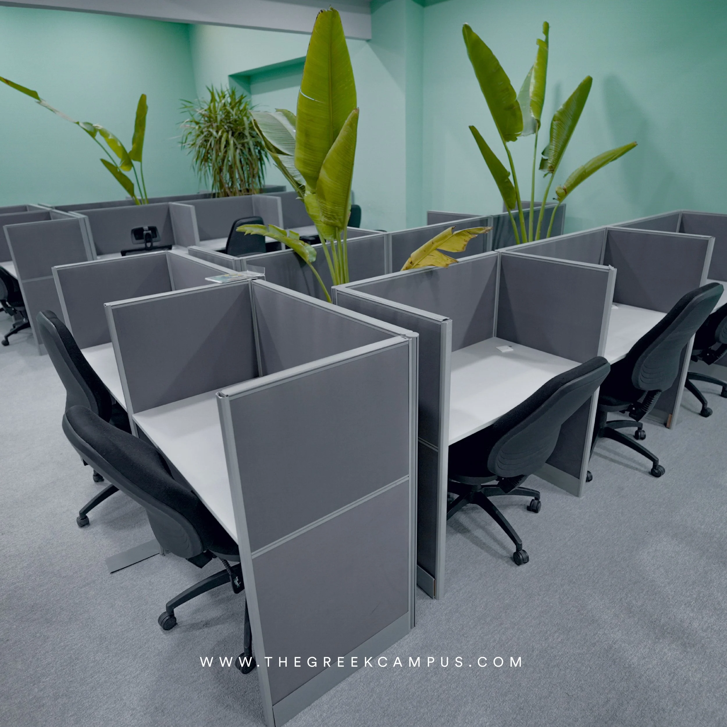 TGC West Offices-05.jpg