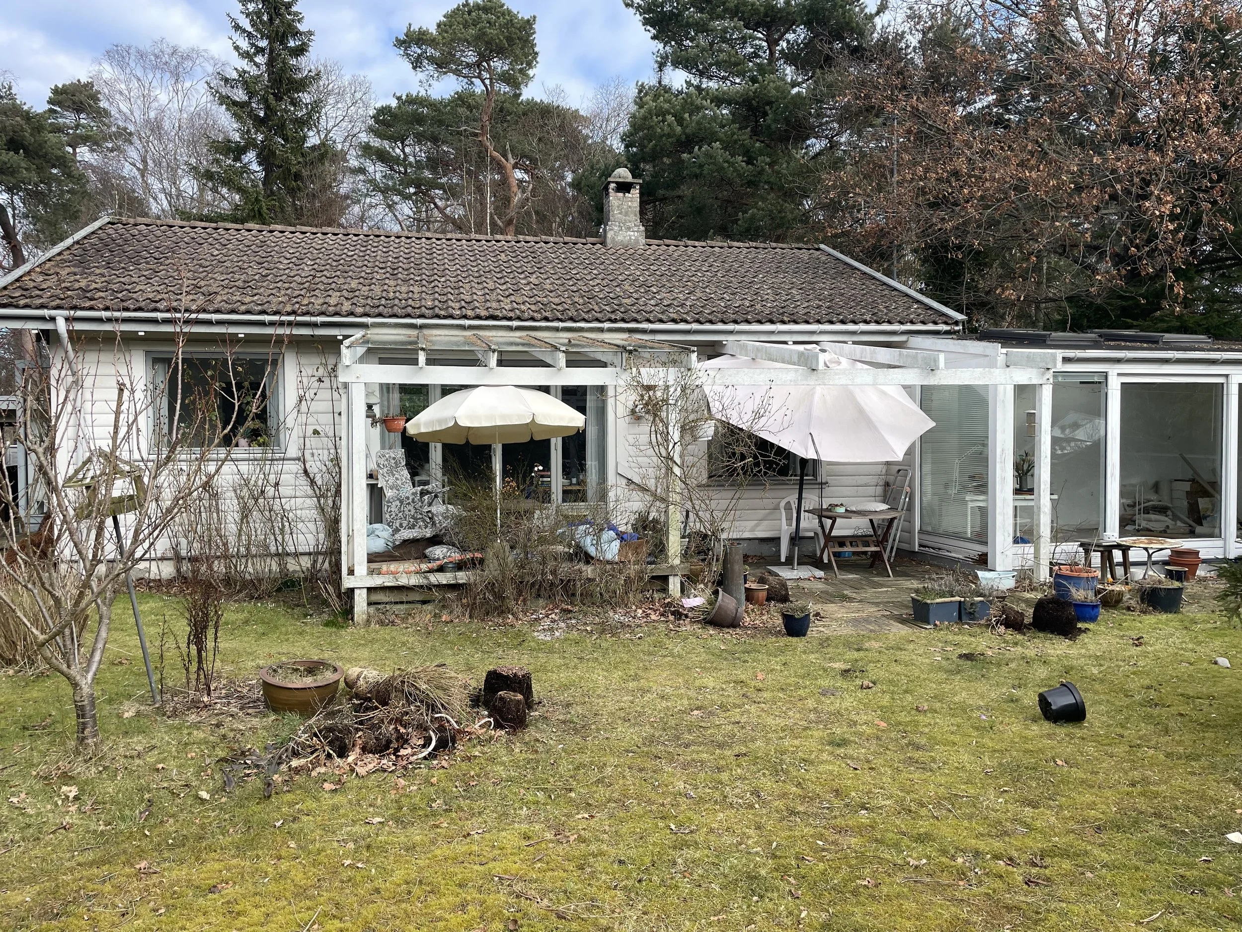 Backyard view of a white house with a brown tiled roof, surrounded by trees. The backyard has a grassy lawn with some planters, a small tree, and garden debris. There are patio areas with a white umbrella, patio furniture, and potted plants, some of which are scattered or empty.