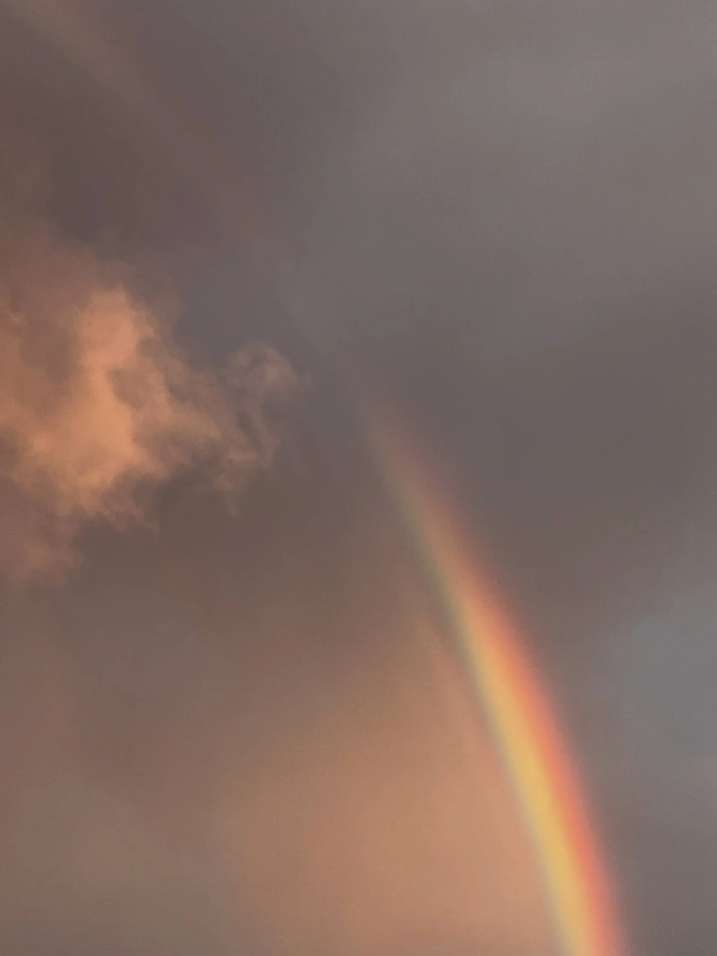 Summertime sunset rainbows 🌈