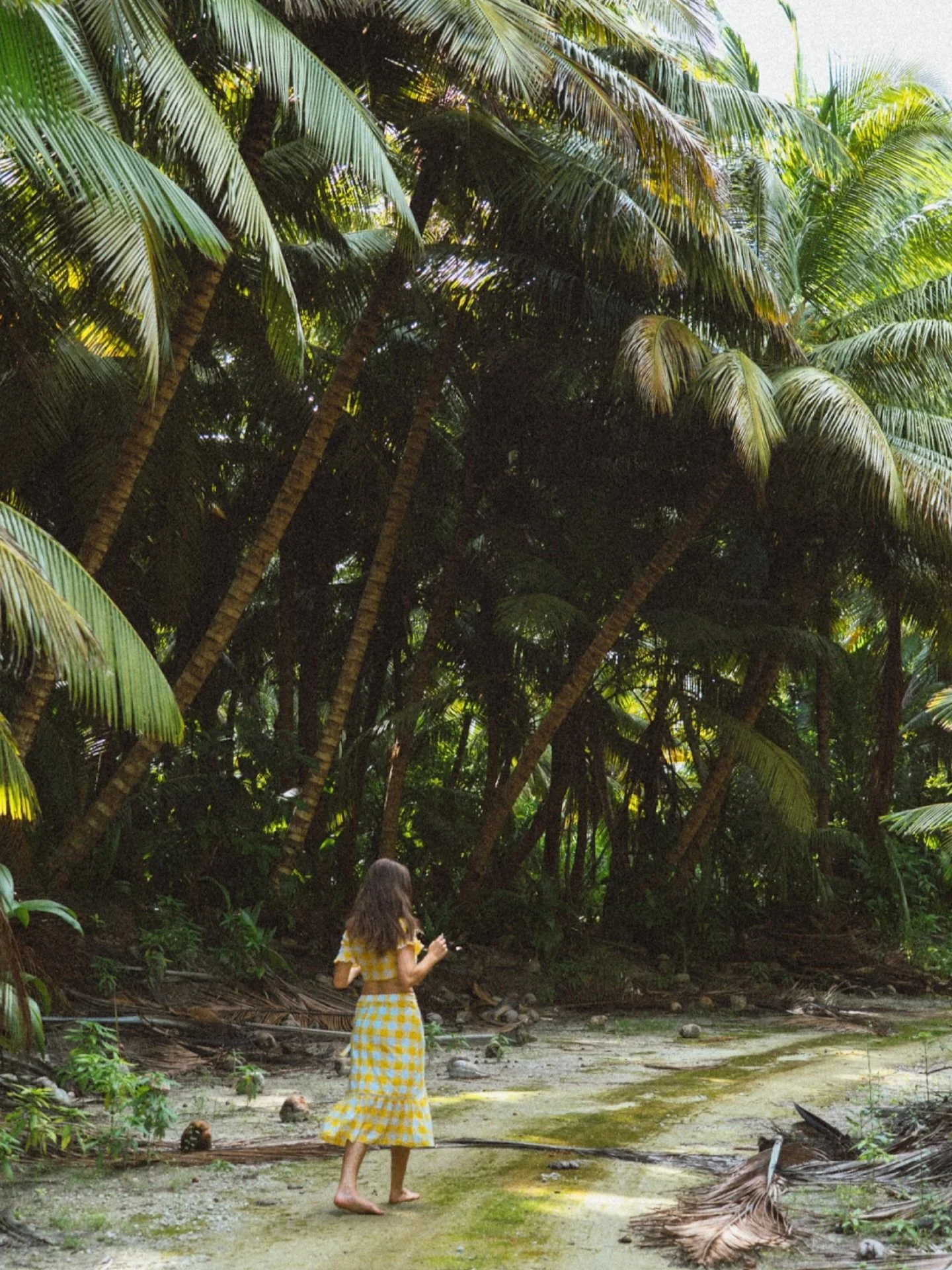 Hidden paths and endless palms 🌴🌴

#cocoskeelingislands #IslandEscape #westernaustralia