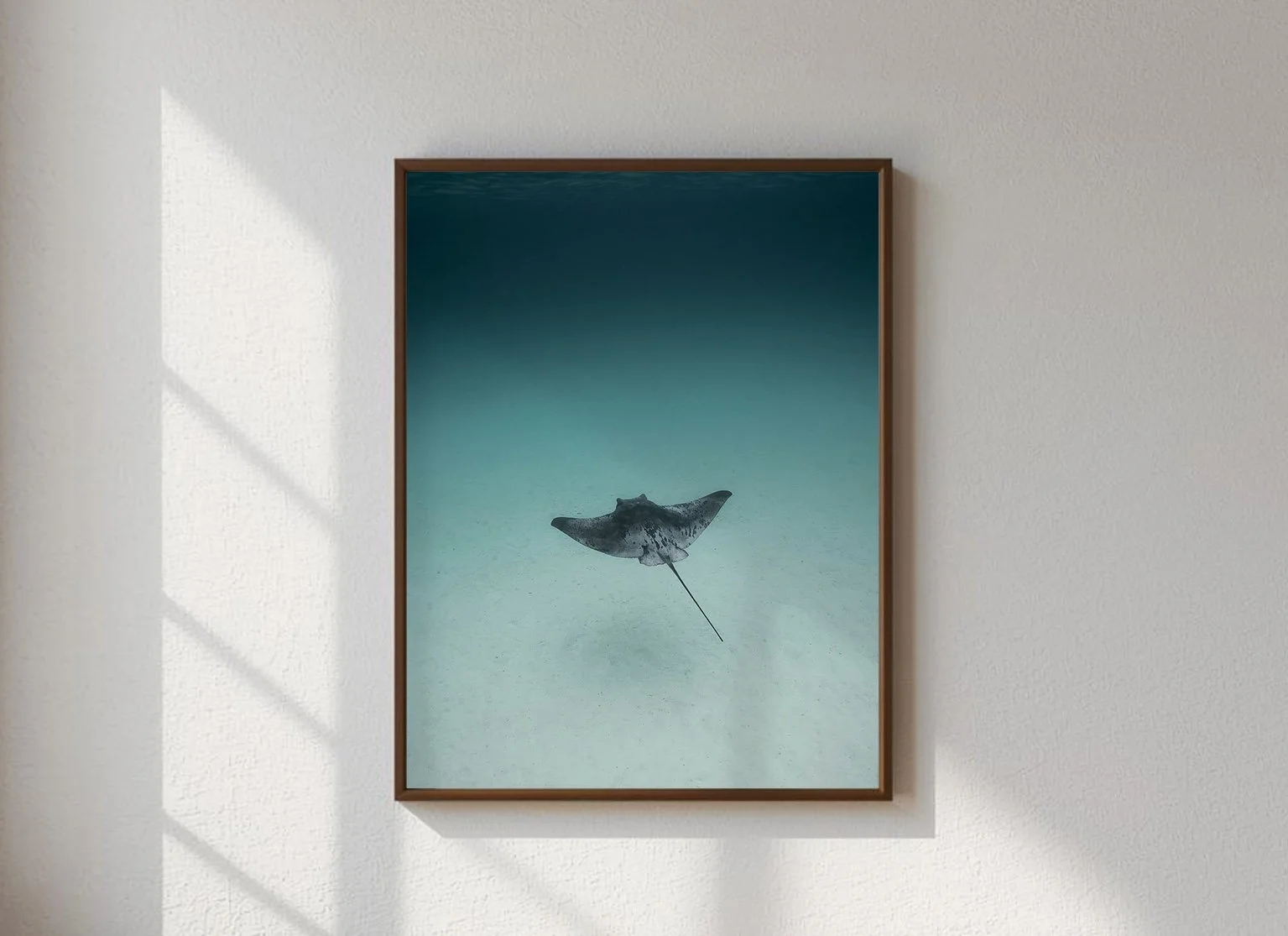 Stingray Underwater Print | Marine Life Art | Ocean Photography Gift Conservation; Serene stingray underwater print capturing graceful ray gliding over sandy ocean floor with minimalist monochrome elegance. This peaceful fine art marine print.