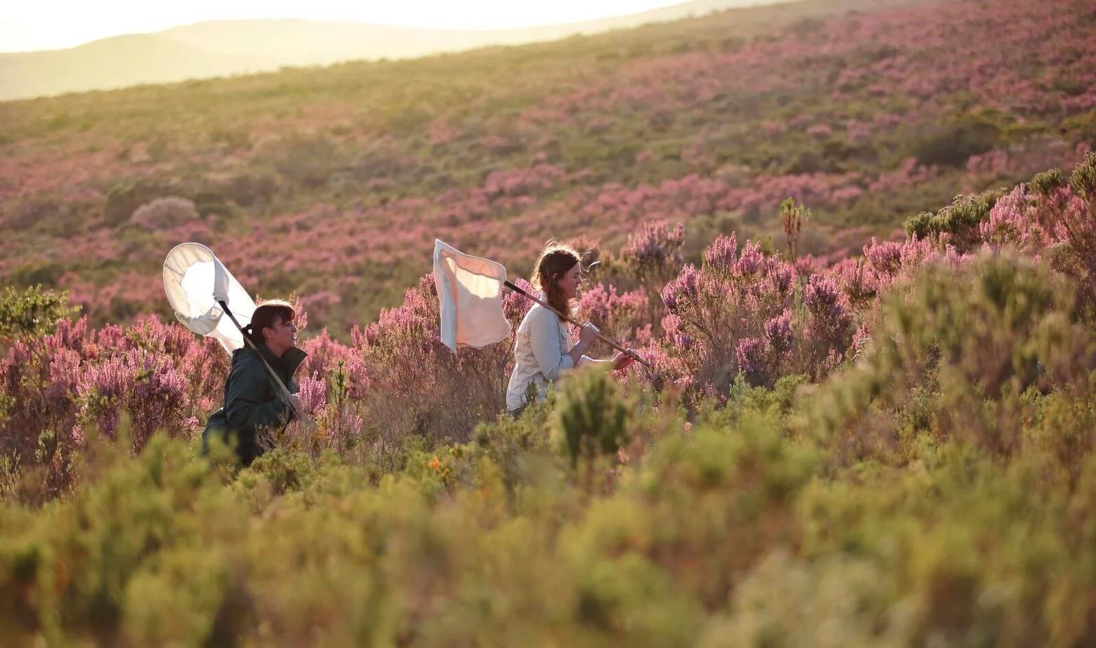 Grootbos Foundation: Protecting the Fynbos Ecosystem in South Africa