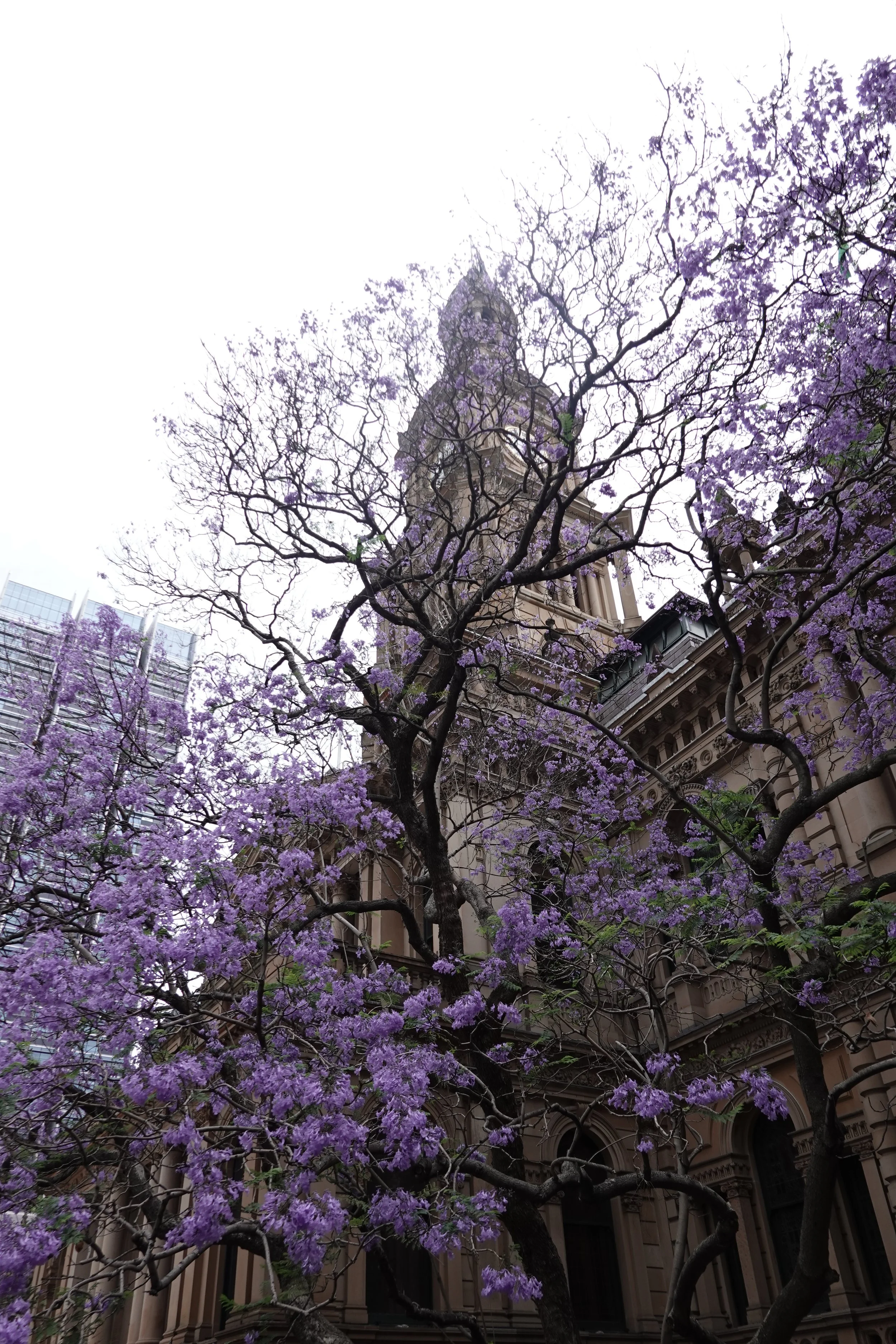 Planning to study or relocate to Australia? From understanding rental contracts to checking property conditions, there’s a lot to navigate before you move in. That’s where Real Inspect comes in — we help you see the real picture of any property.